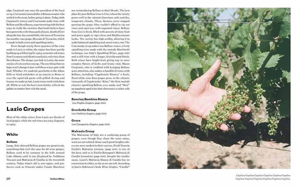 Italian Wine History, Regions, and Grapes of an Iconic Wine Country