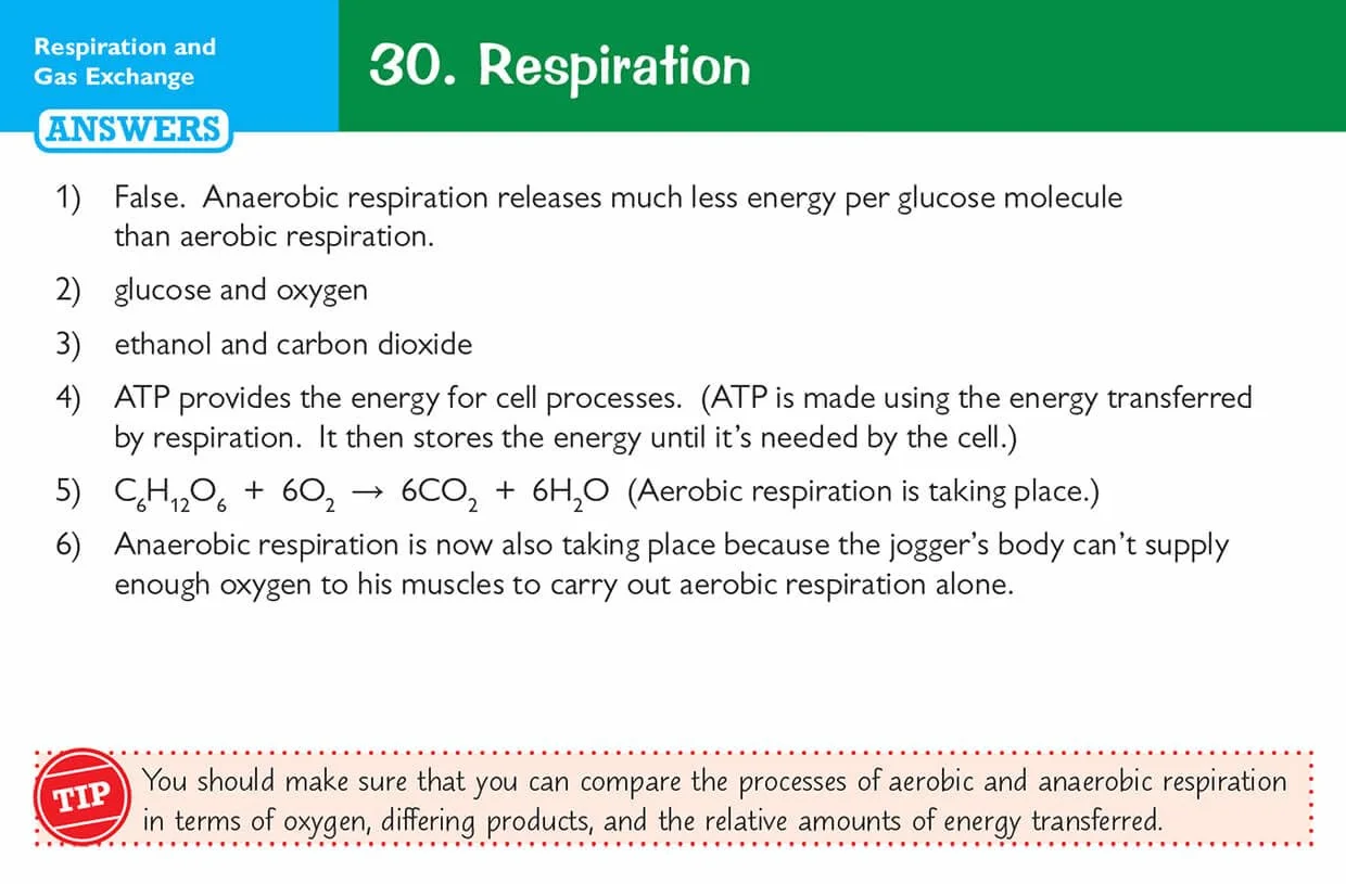 Edexcel International GCSE Biology Revision Question Cards