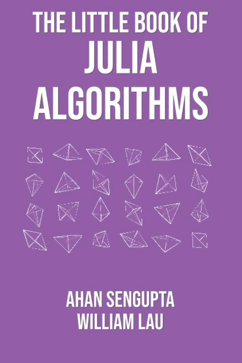 The Little Book of Julia Algorithms: A workbook to develop fluency in Julia programming