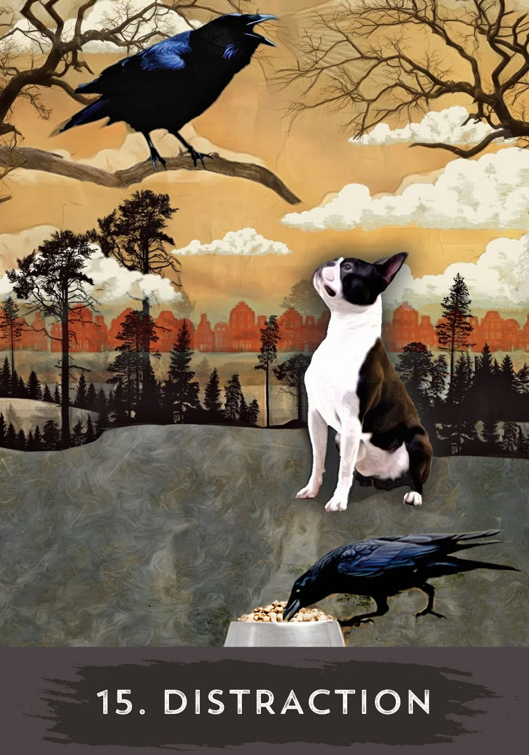 Urban Crow Oracle: 54-Card Deck and Guidebook