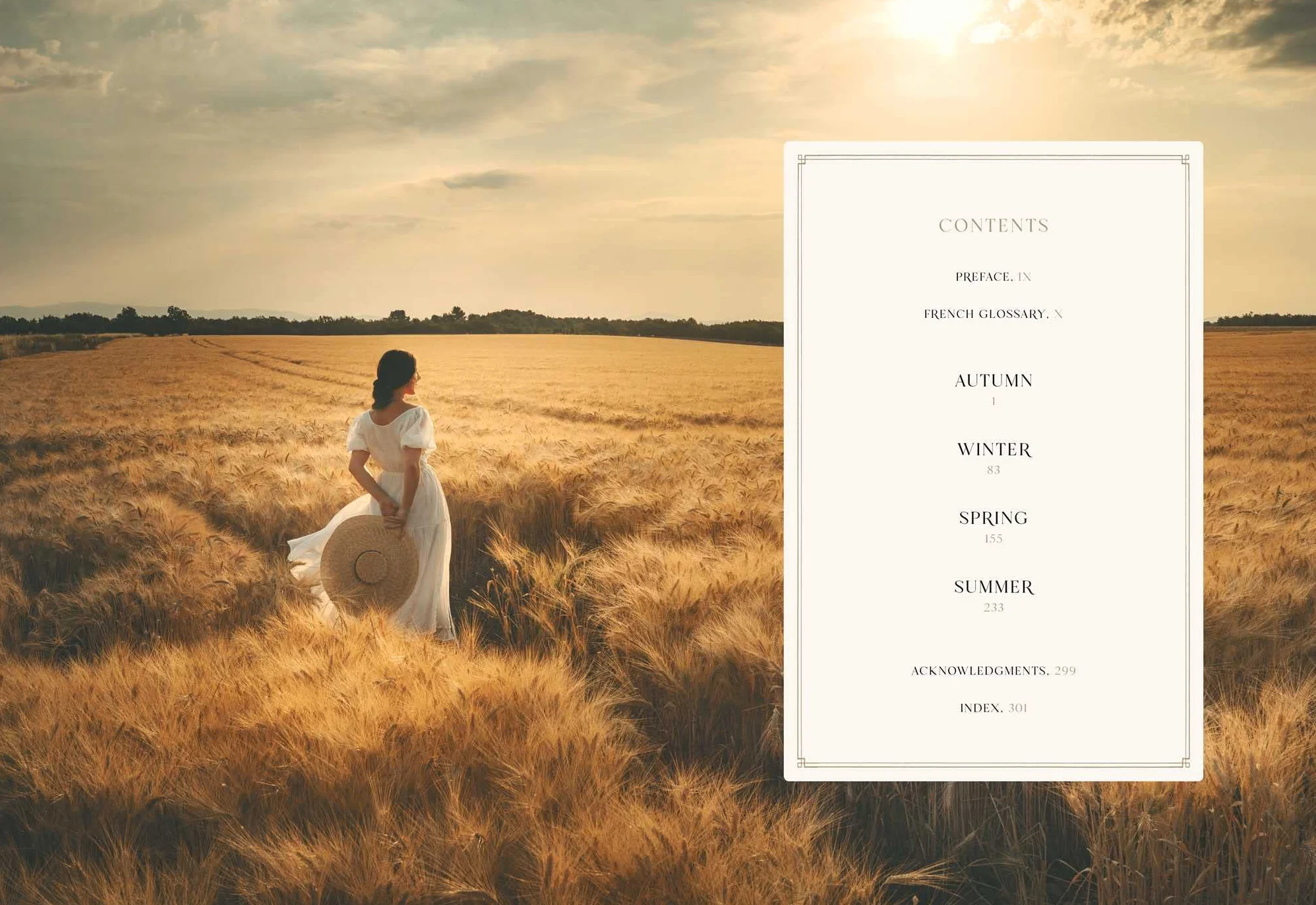 An American in Provence: Art, Life and Photography