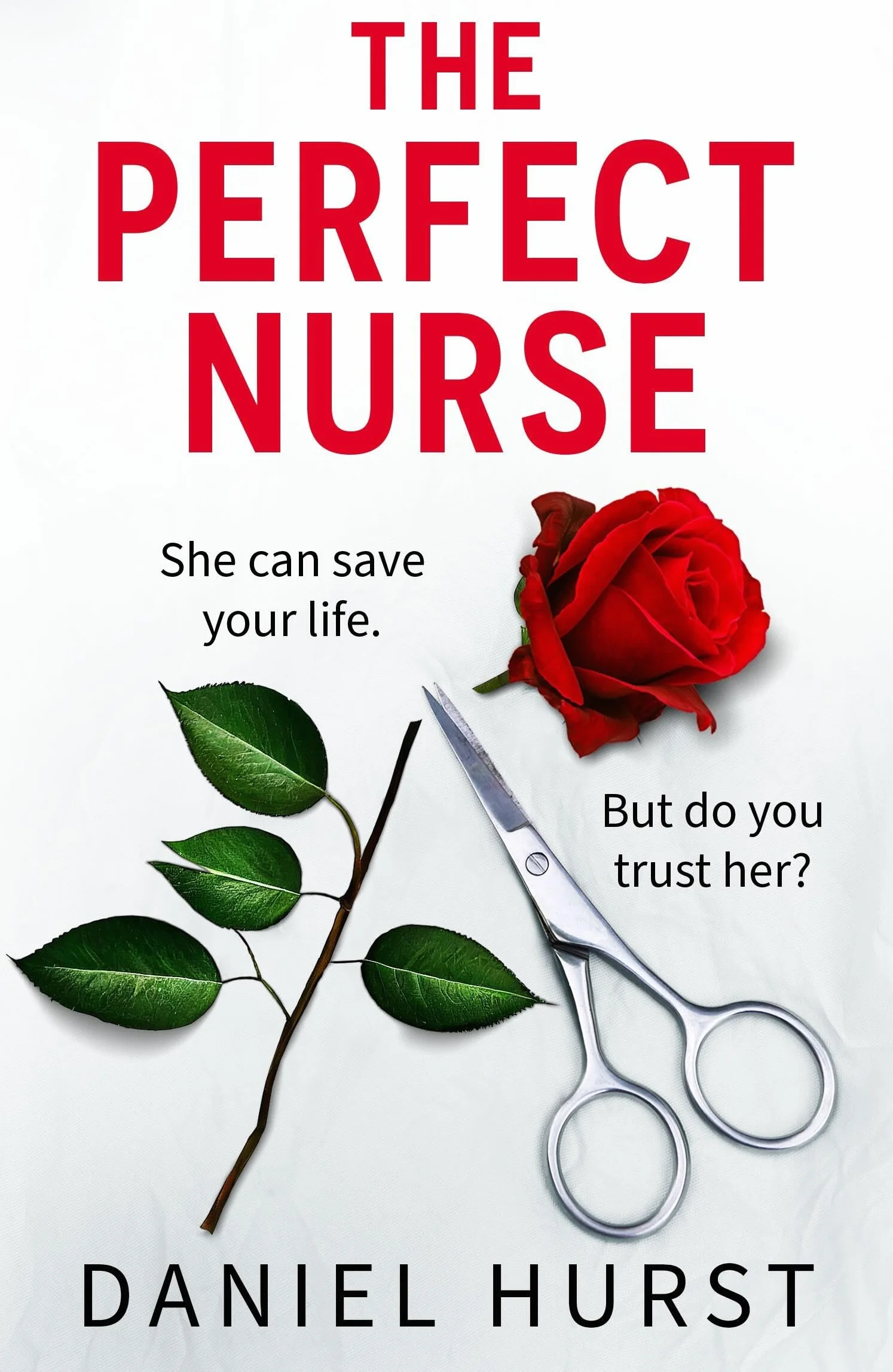 The Perfect Nurse: A Totally Addictive and Unputdownable Psychological Thriller
