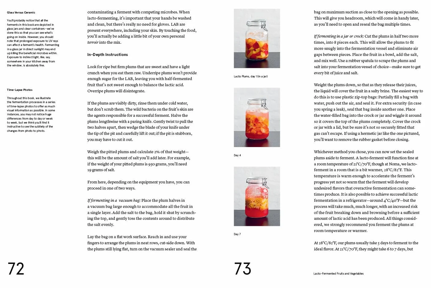 The Noma Guide to Fermentation: Koji, Kombuchas, Shoyus, Misos, Vinegars, Garums, Lacto-Ferments, Black Fruits & Vegetables