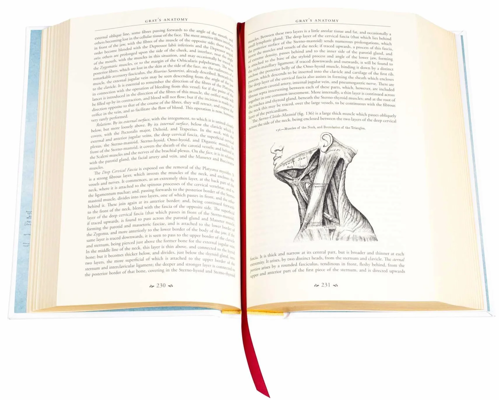 Gray's Anatomy: Descriptive and Surgical