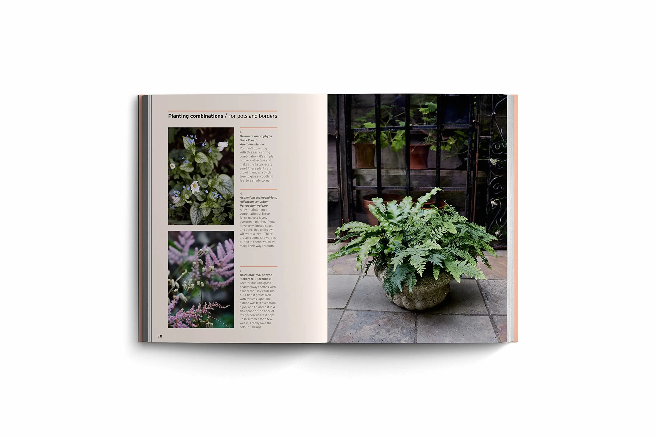 Bloom Gardener's Guide: Work with the Light, Grow the Right Plants, Bring Dark Corners to Life