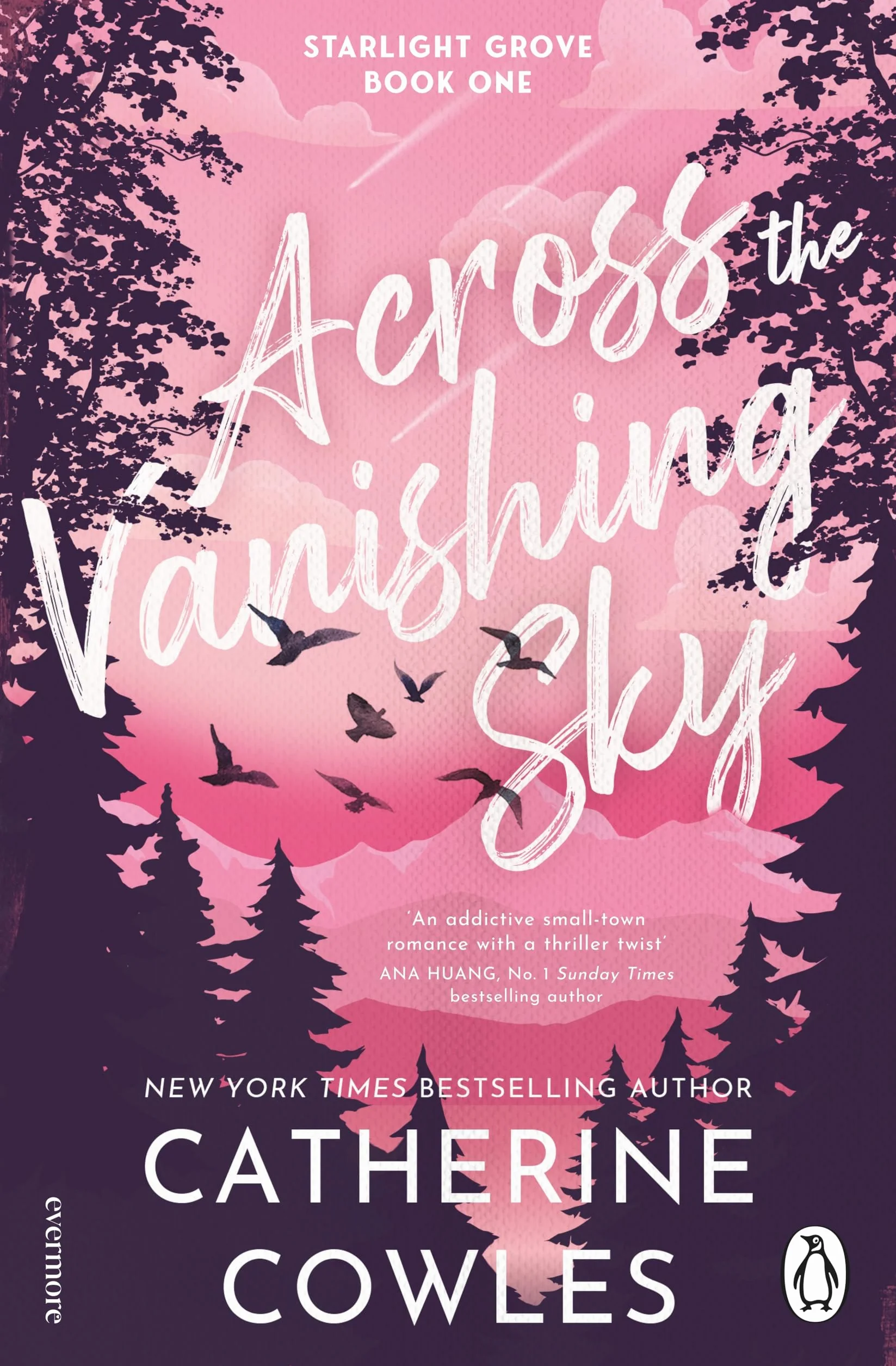 Across the Vanishing Sky: Gripping Small Town Romance Mystery Suspense Bestselling Author Fragile Sanctuary 1