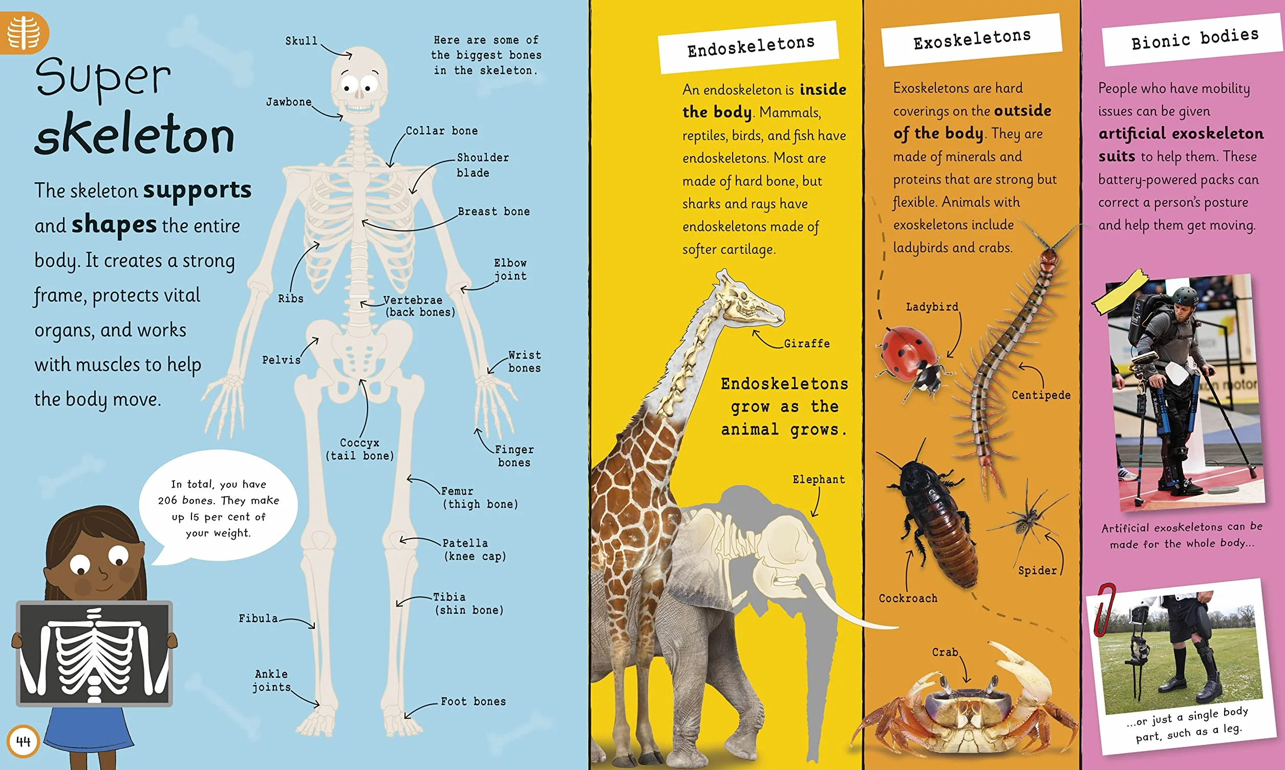 My Very Important Human Body Encyclopedia: For Little Learners