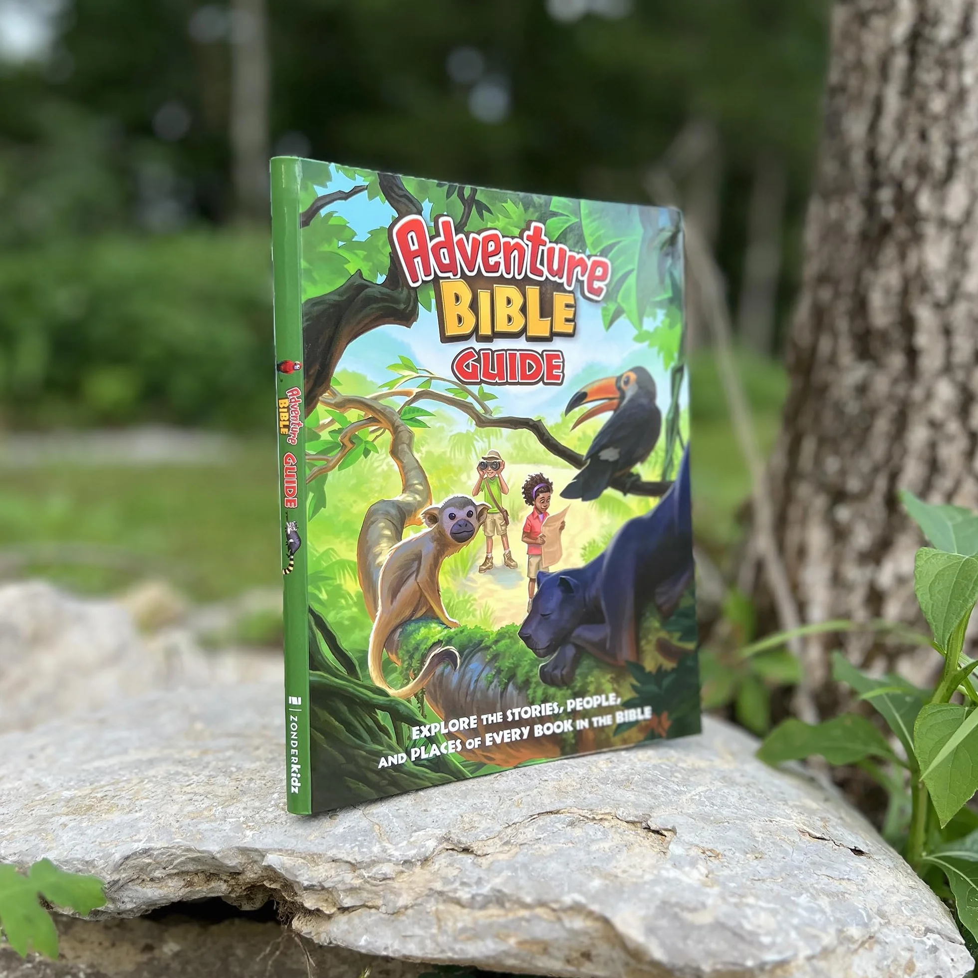 Adventure Bible Guide: Explore the Stories, People, and Places of Every Book in the Bible: An Ideal Companion to the NIV Adventure Bible