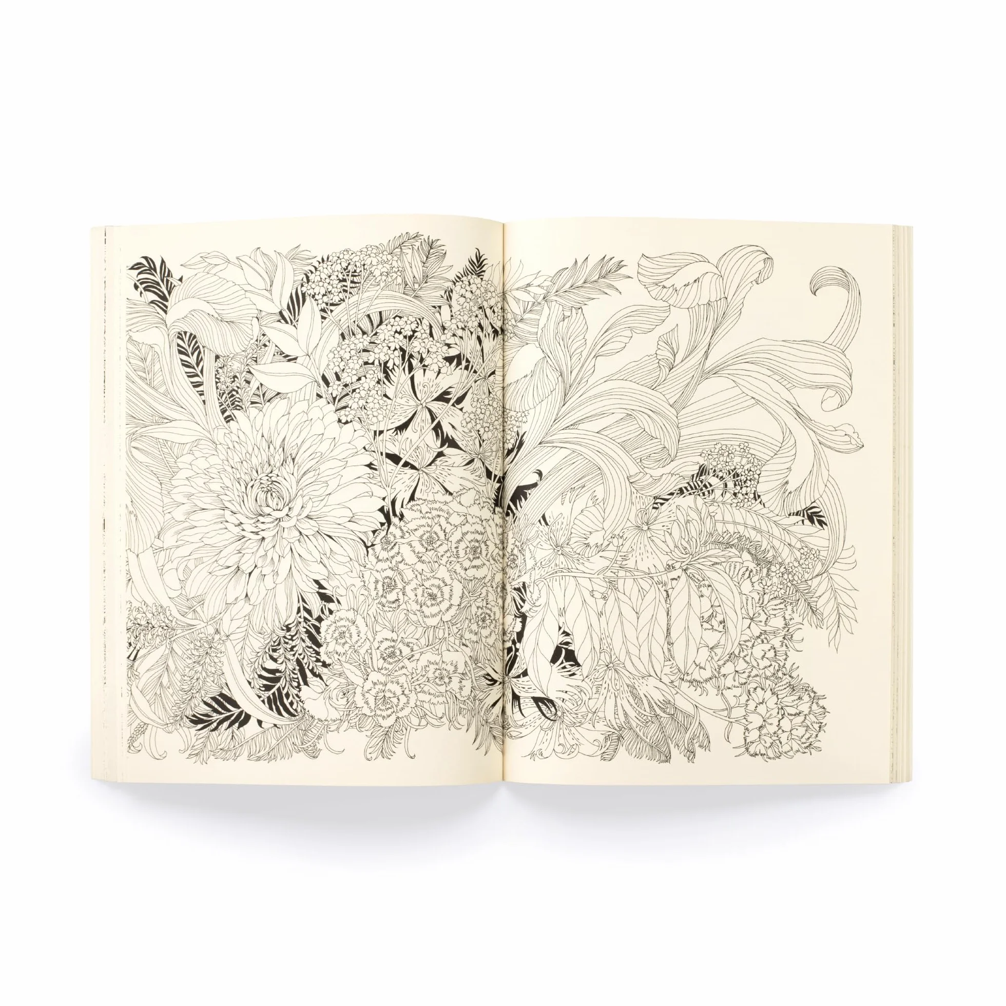 Floribunda Year: A Flower Colouring Companion