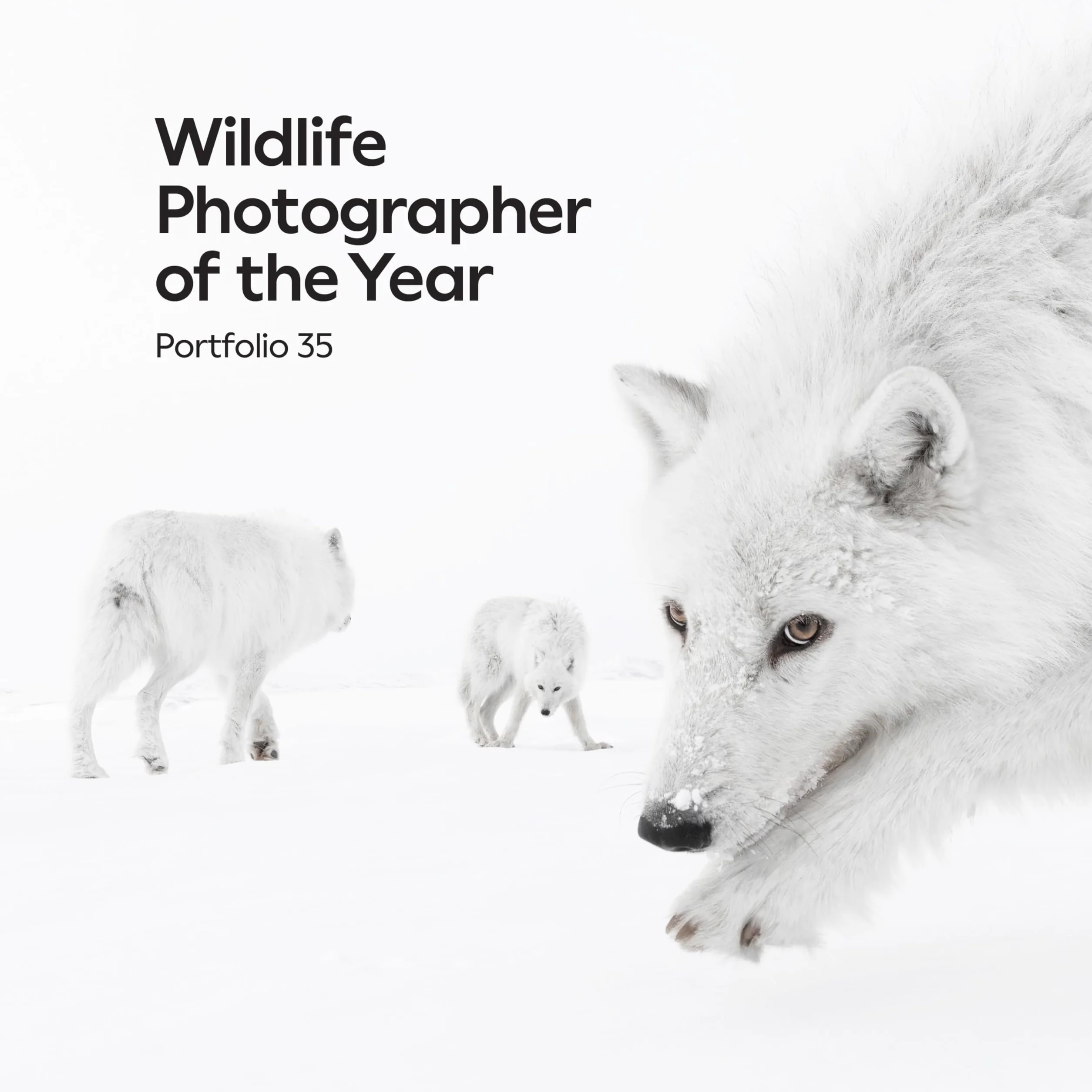 Wildlife Photographer of the Year: Portfolio 35: Volume 35
