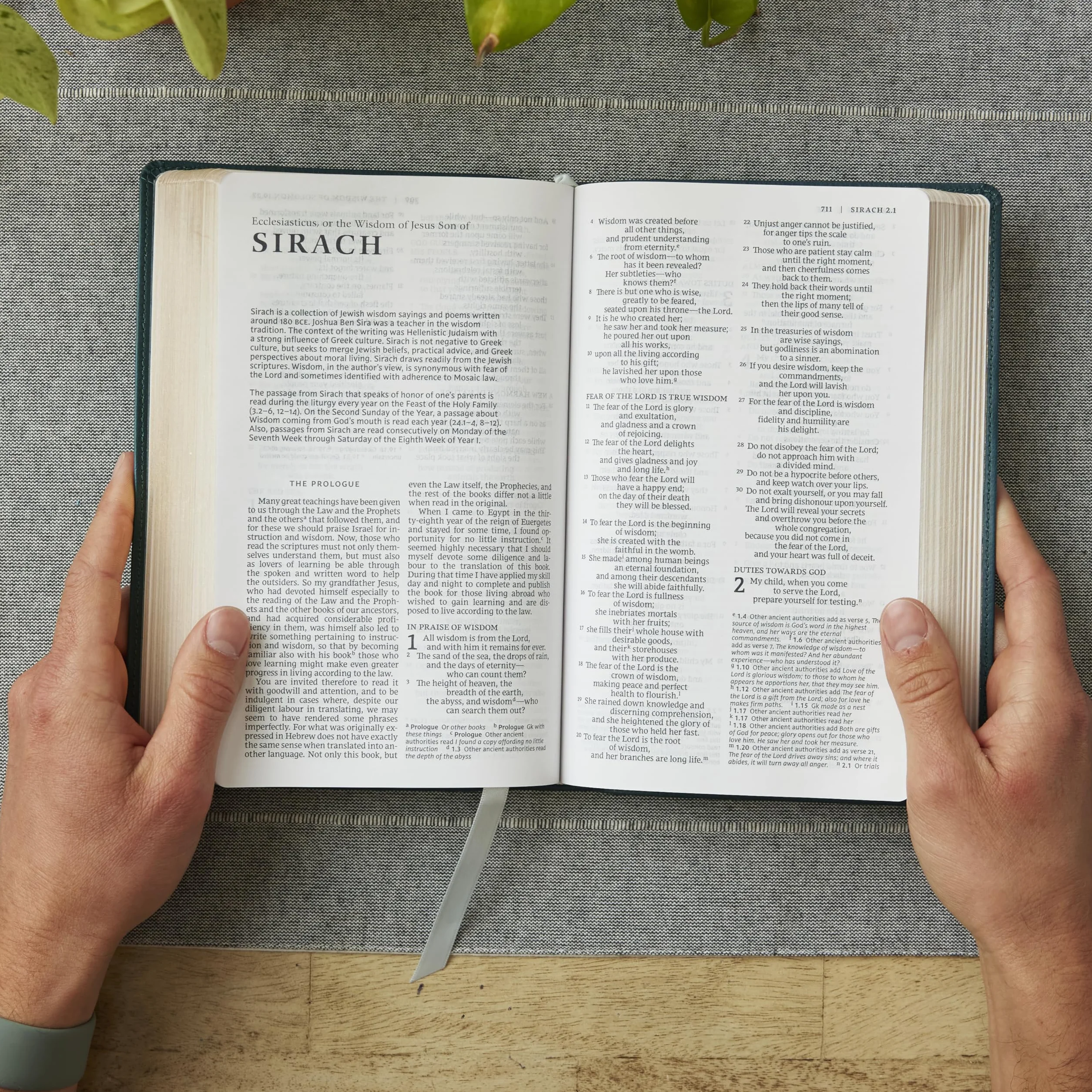 Catholic Bible, Leathersoft, White, Comfort Print, Nrsv, Gift Edition
