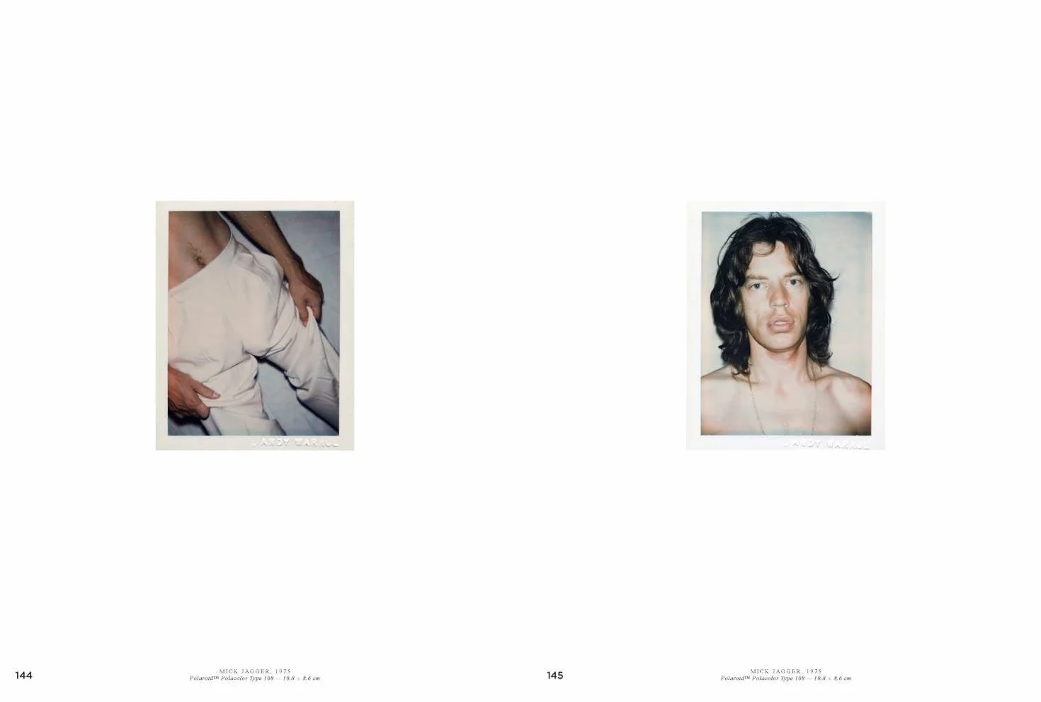 Andy Warhol Velvet Rage and Beauty