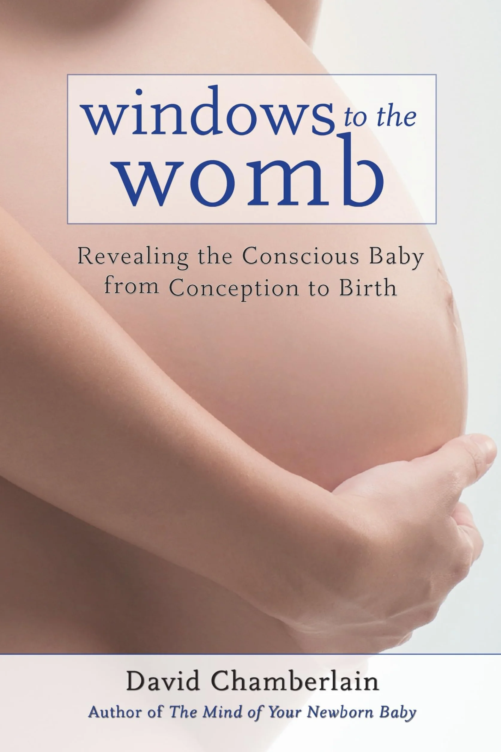 Windows to the Womb: Revealing the Conscious Baby from Conception to Birth