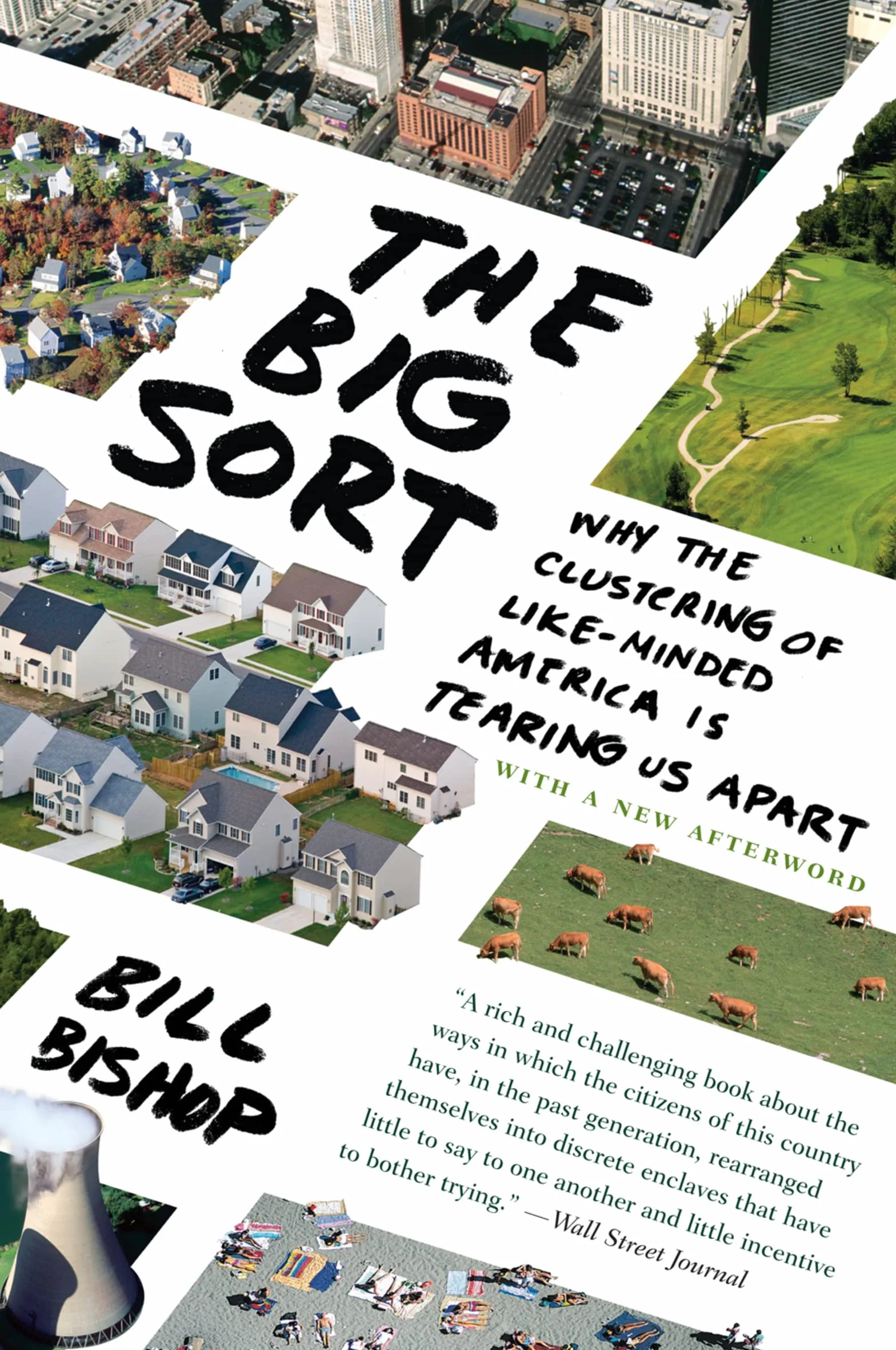 The Big Sort: Why the Clustering of Like-Minded American Is Tearing Us Apart