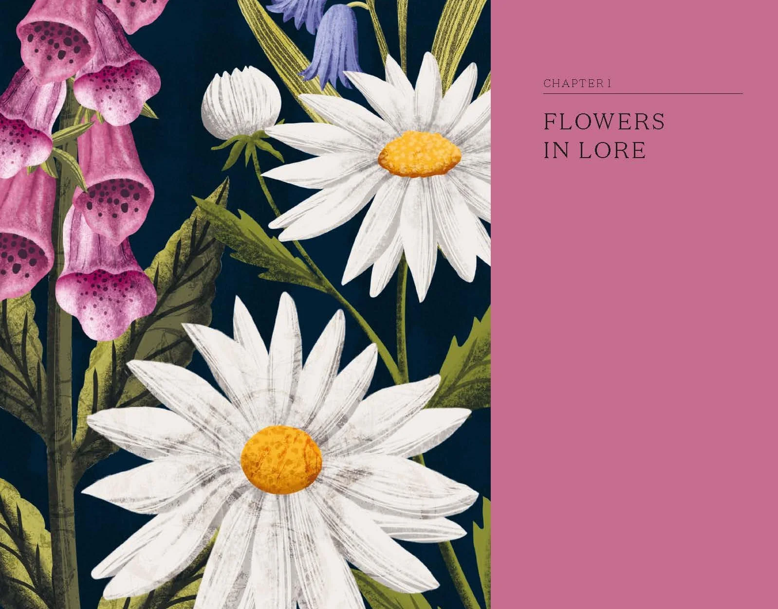 The Hidden Histories of Flowers: Fascinating Stories of Flora