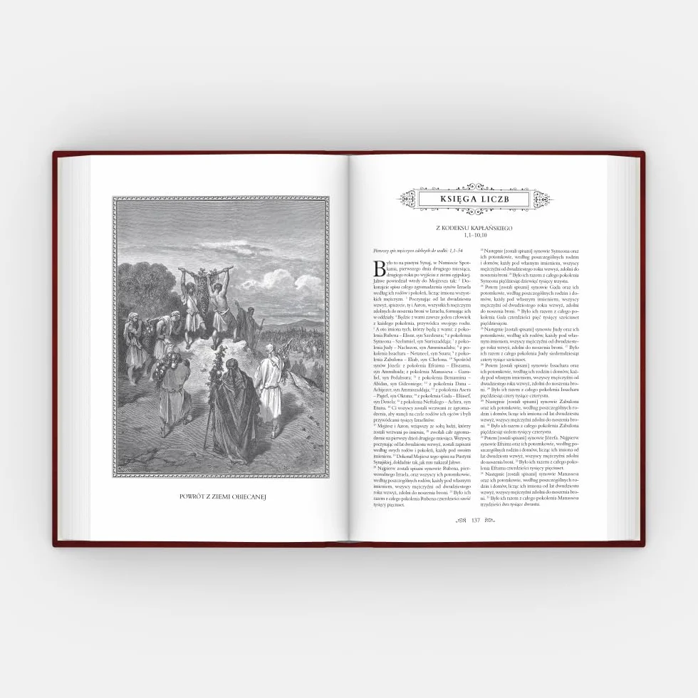 Pismo Święte Starego i Nowego Testamentu. Biblia Domowa.: Pamiątka I Komunii Świętej