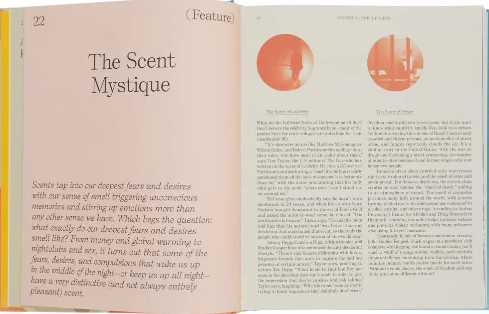 The Essence: Discovering the World of Scent, Perfume & Fragrance