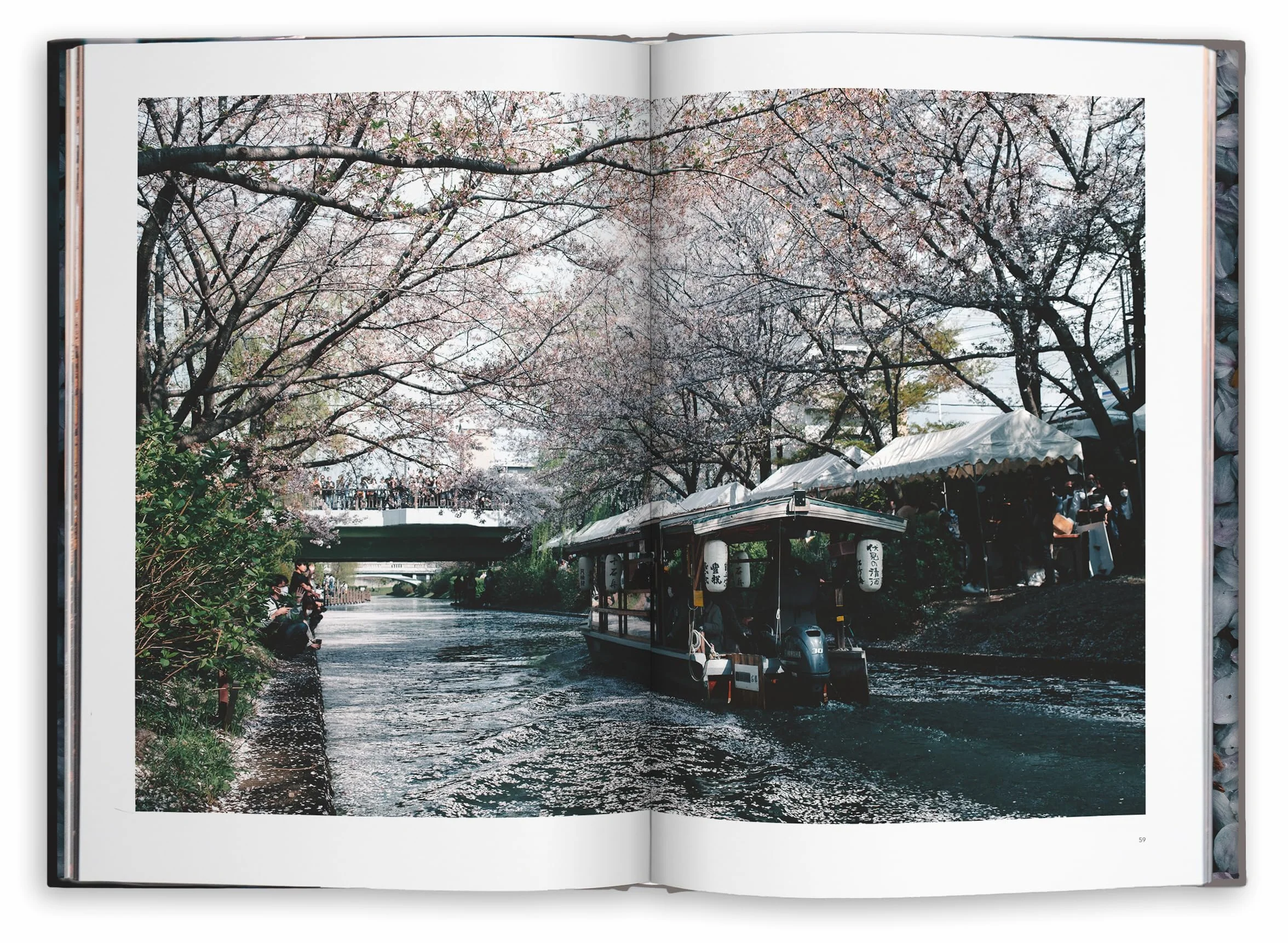 Kyoto Dreaming