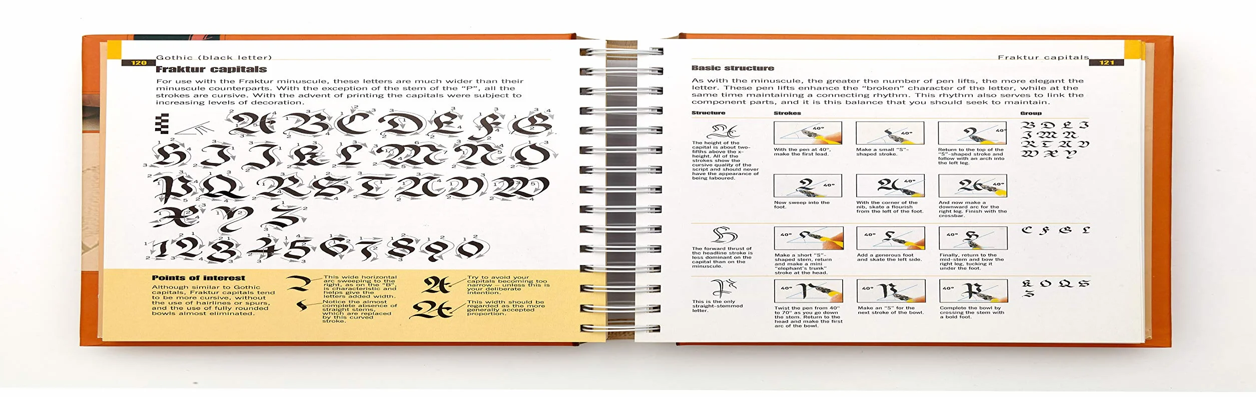 The Calligrapher's Bible: 100 Complete Alphabets and How to Draw Them