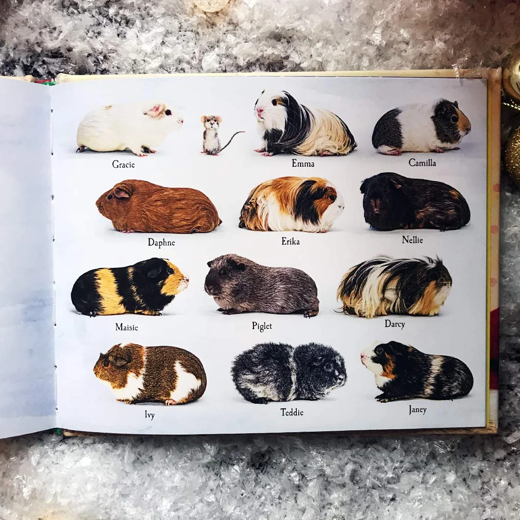 A Guinea Pig Night Before Christmas