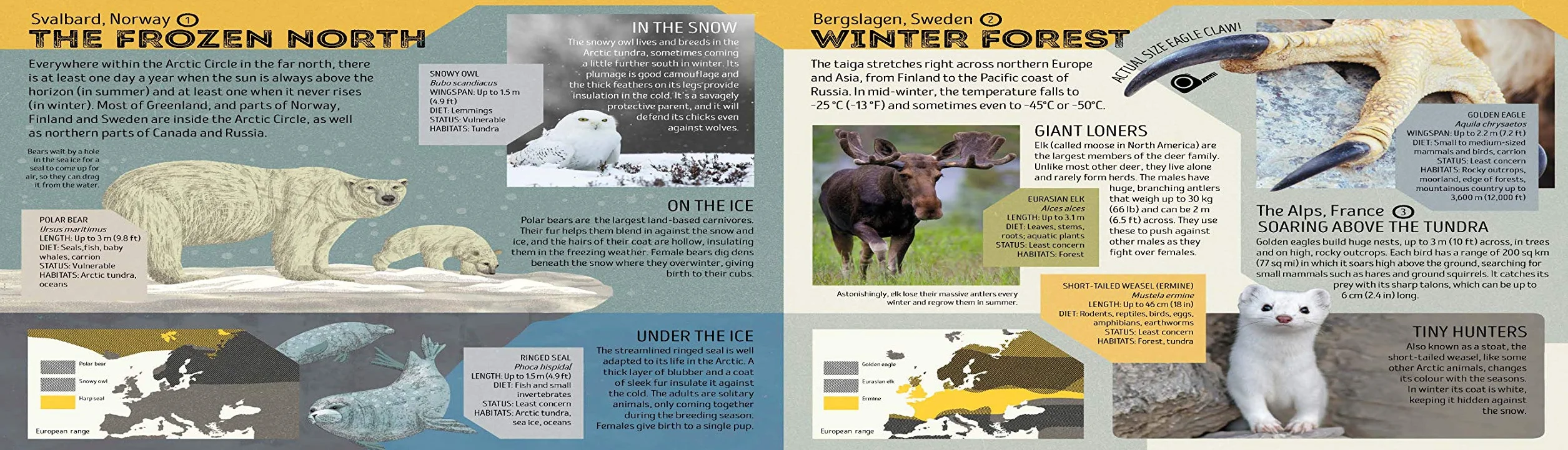 Lonely Planet Kids Animal Atlas: 1 (Creature Atlas): Amazing Facts & Fold Out Maps | Explore Creature Features From a Bear's Paw to a Baby Turtle | Packed with Beautiful Illustrations