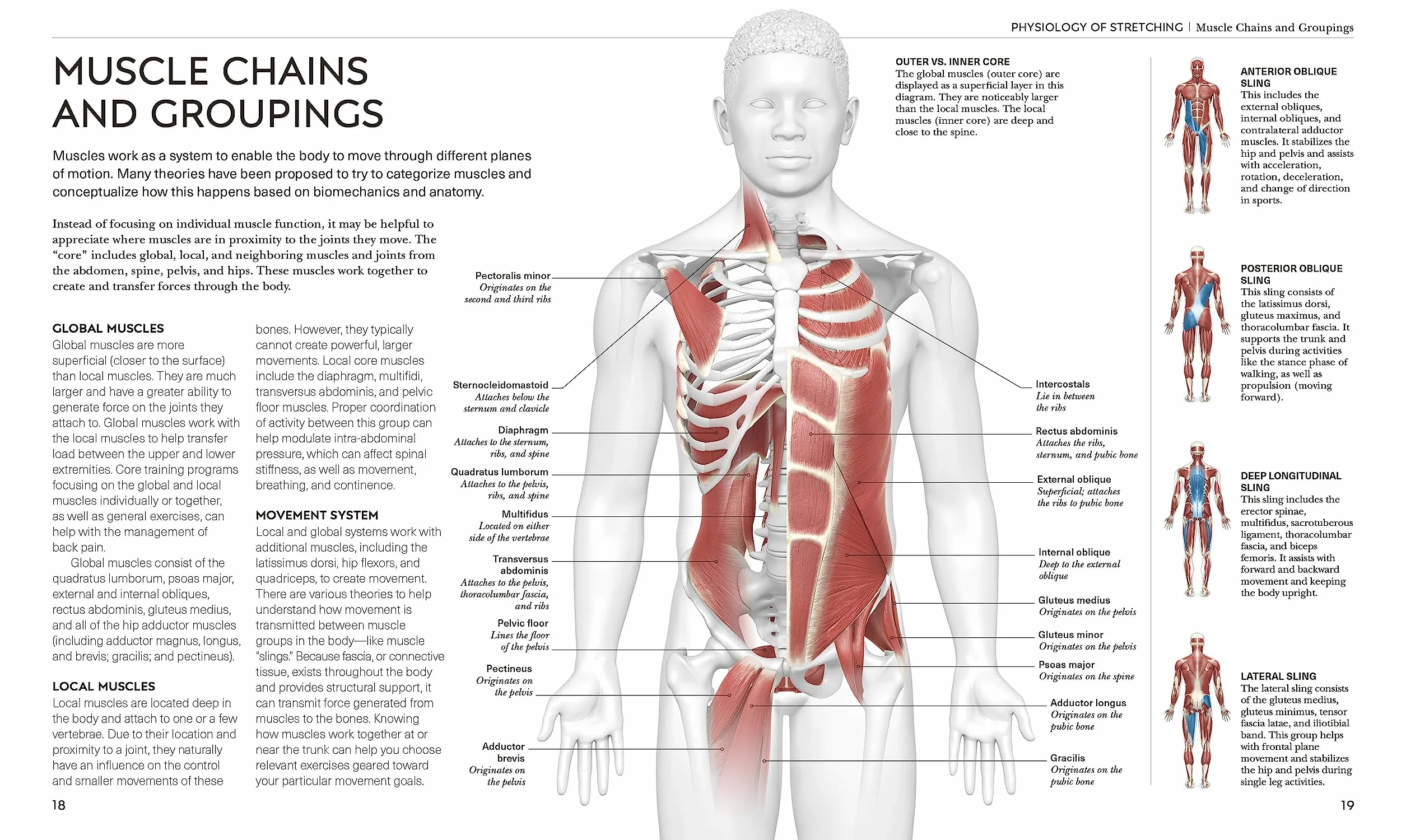 Science of Stretch: Reach Your Flexible Potential, Stay Active, Maximize Mobility