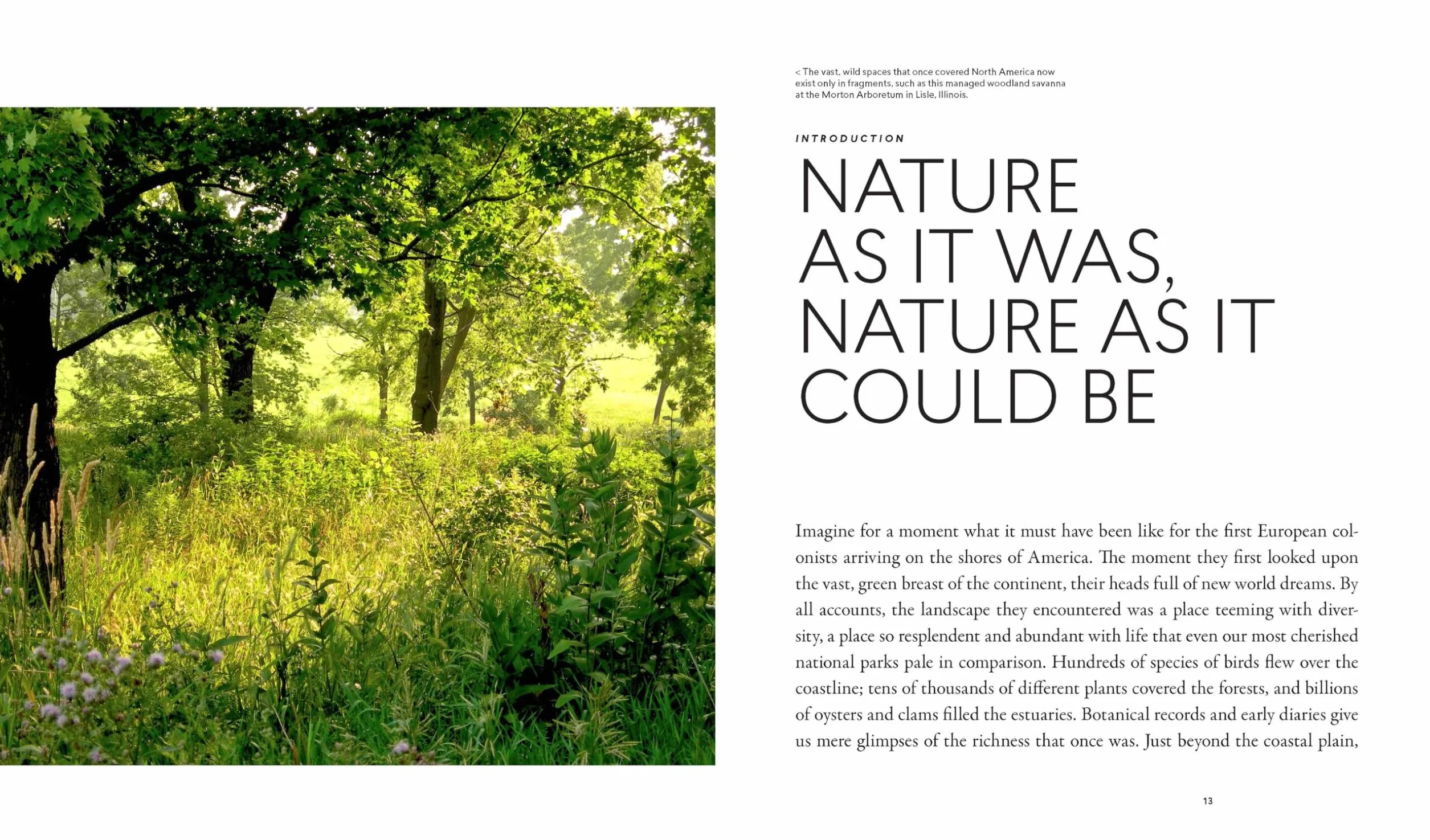 Planting in a Post-Wild World: Designing Plant Communities for Resilient Landscapes