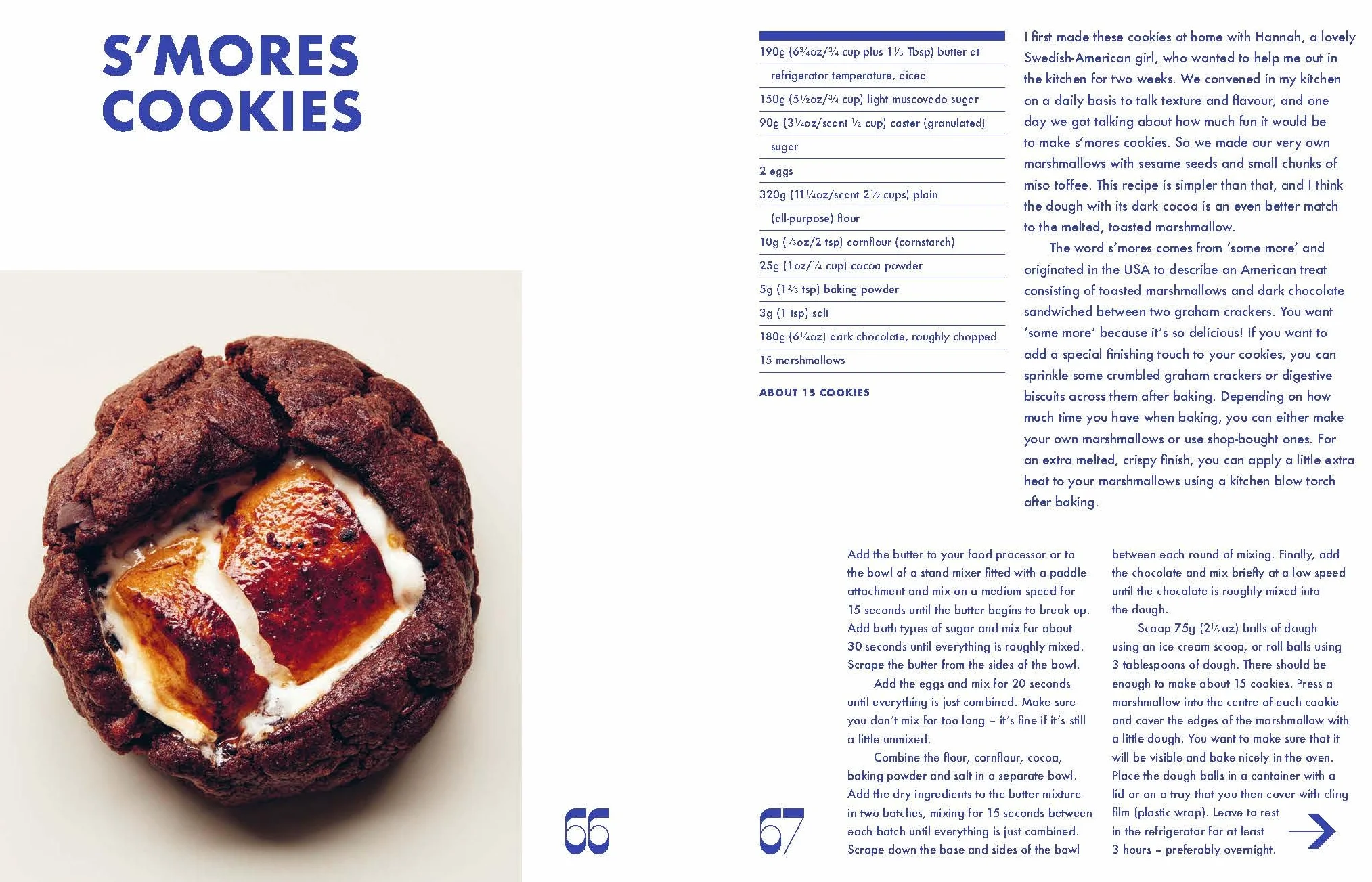 Cookies & Crumbs: Chunky, Chewy, Gooey Cookies for Every Mood