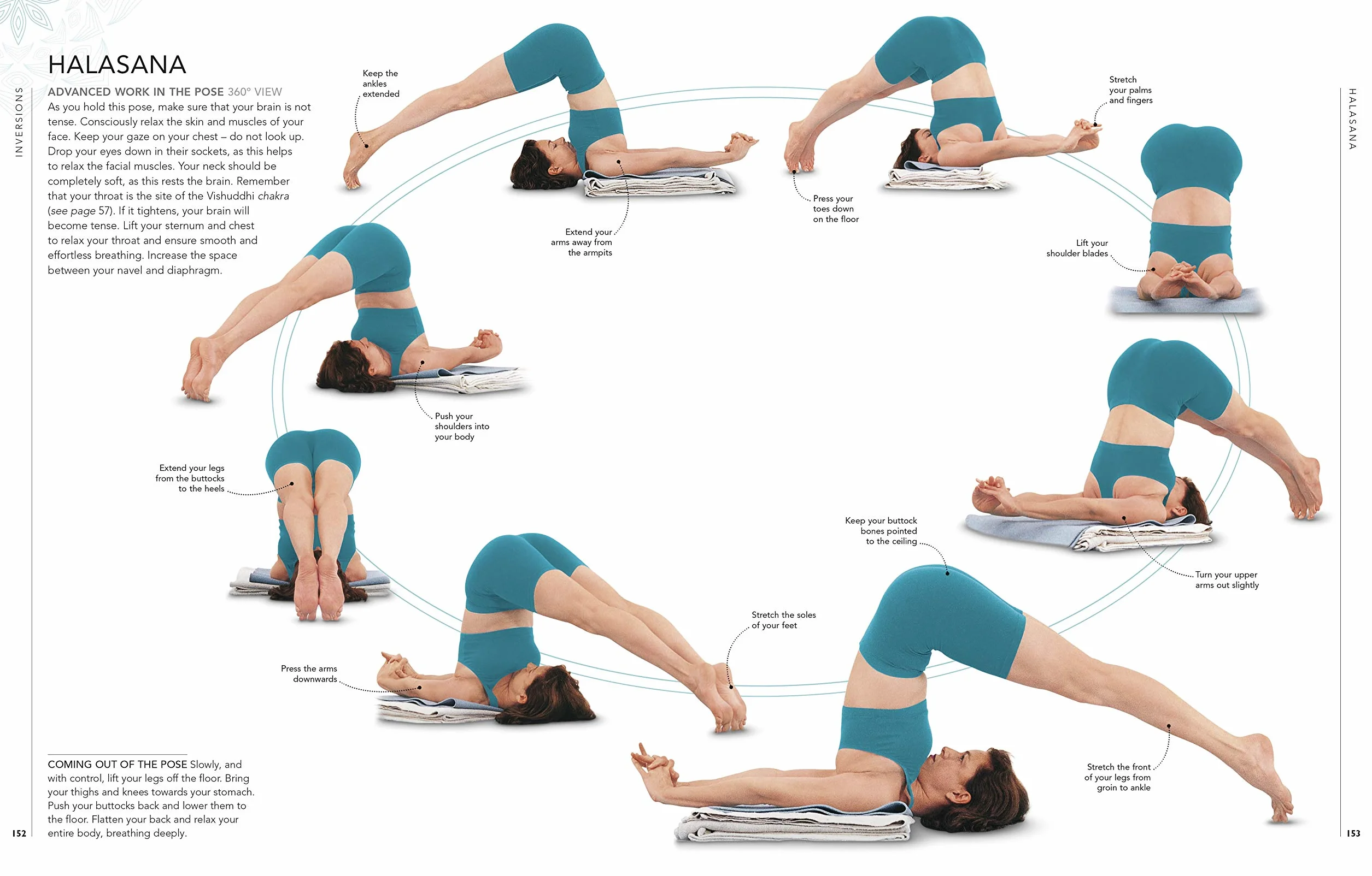 B.K.S. Iyengar Yoga The Path to Holistic Health: The Definitive Step-by-step Guide