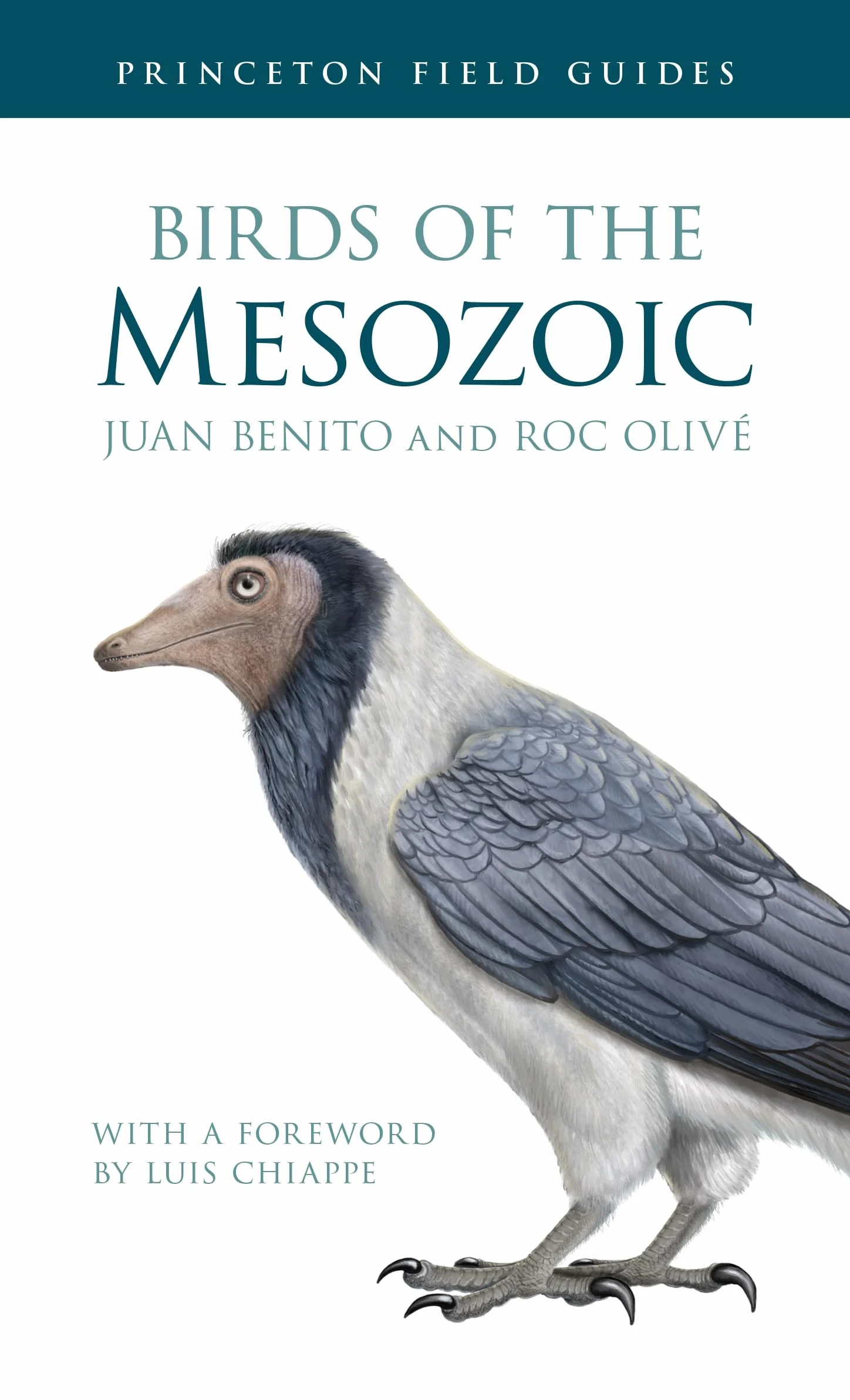 Birds of the Mesozoic: 164