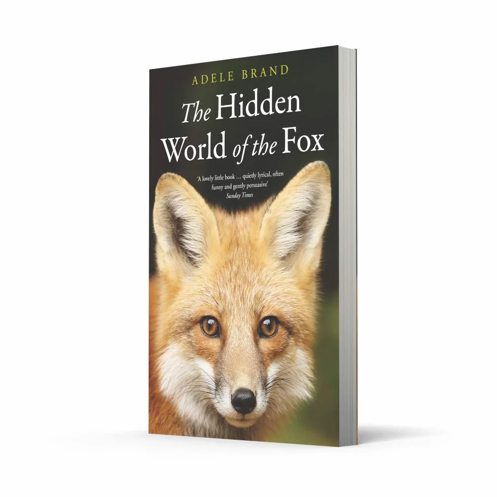 The Hidden World of the Fox: A Deeply Observed Natural History of the Secret Lives of Urban and Rural Wildlife