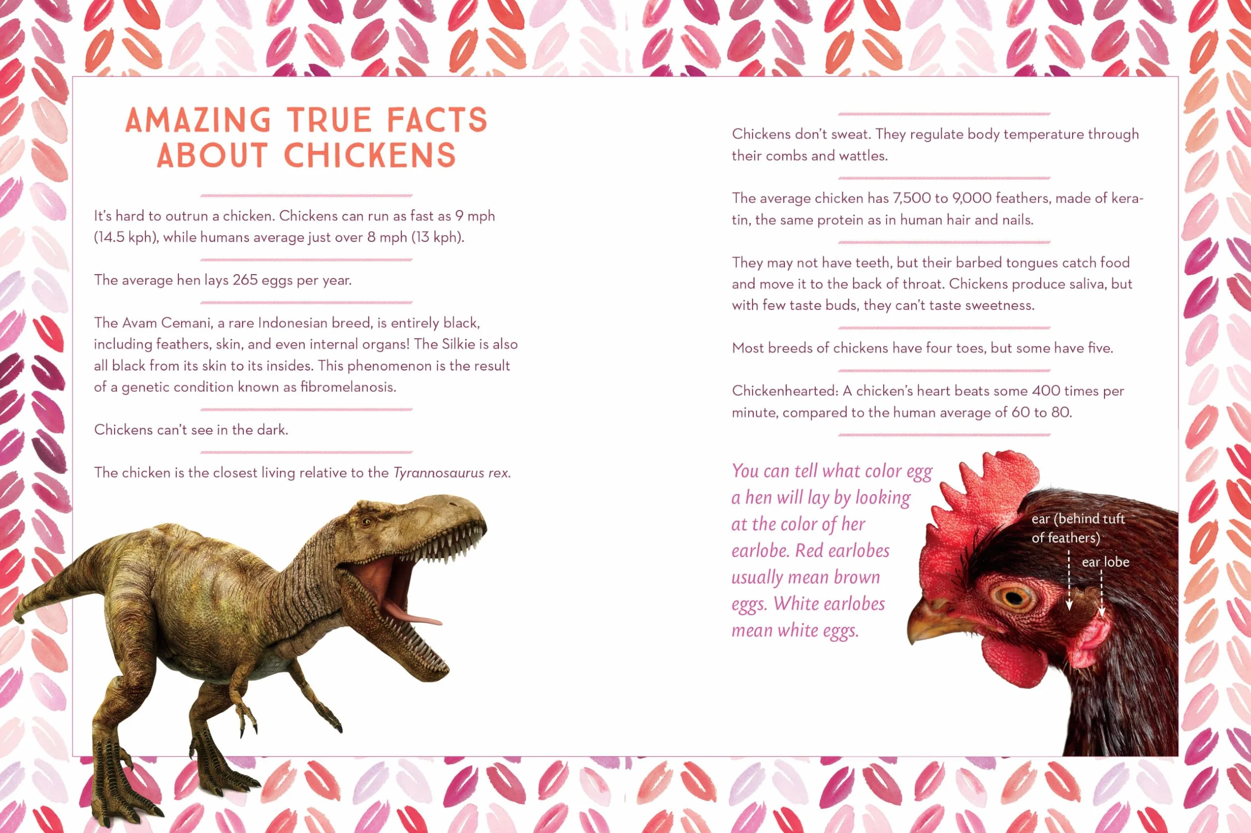 How to Speak Chicken: Why Your Chickens Do What They Do & Say What They Say