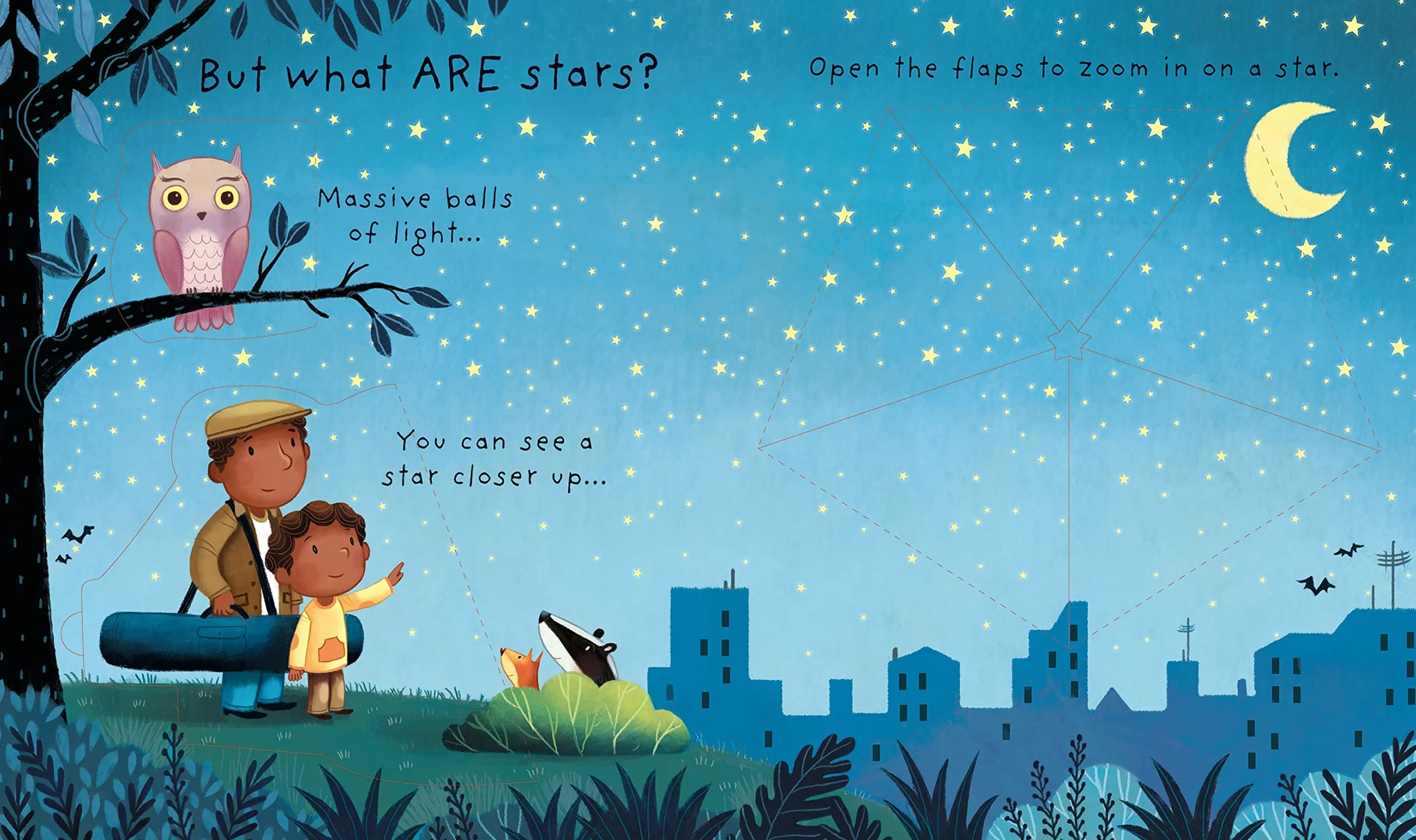 Very First Lift-the-Flap Questions & Answers: What are Stars? 9781474924252