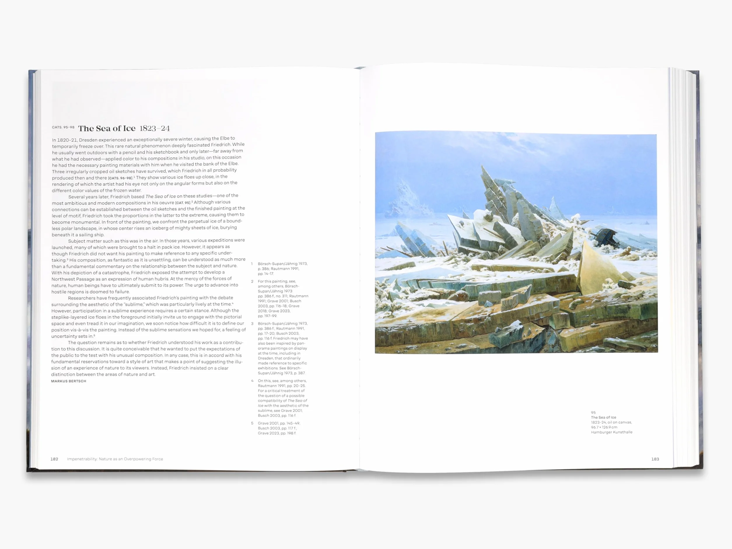 Caspar David Friedrich Art for a New Age