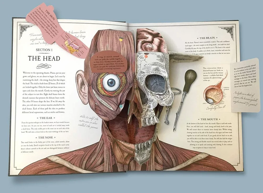 The Human Body: A Pop-Up Guide to Anatomy