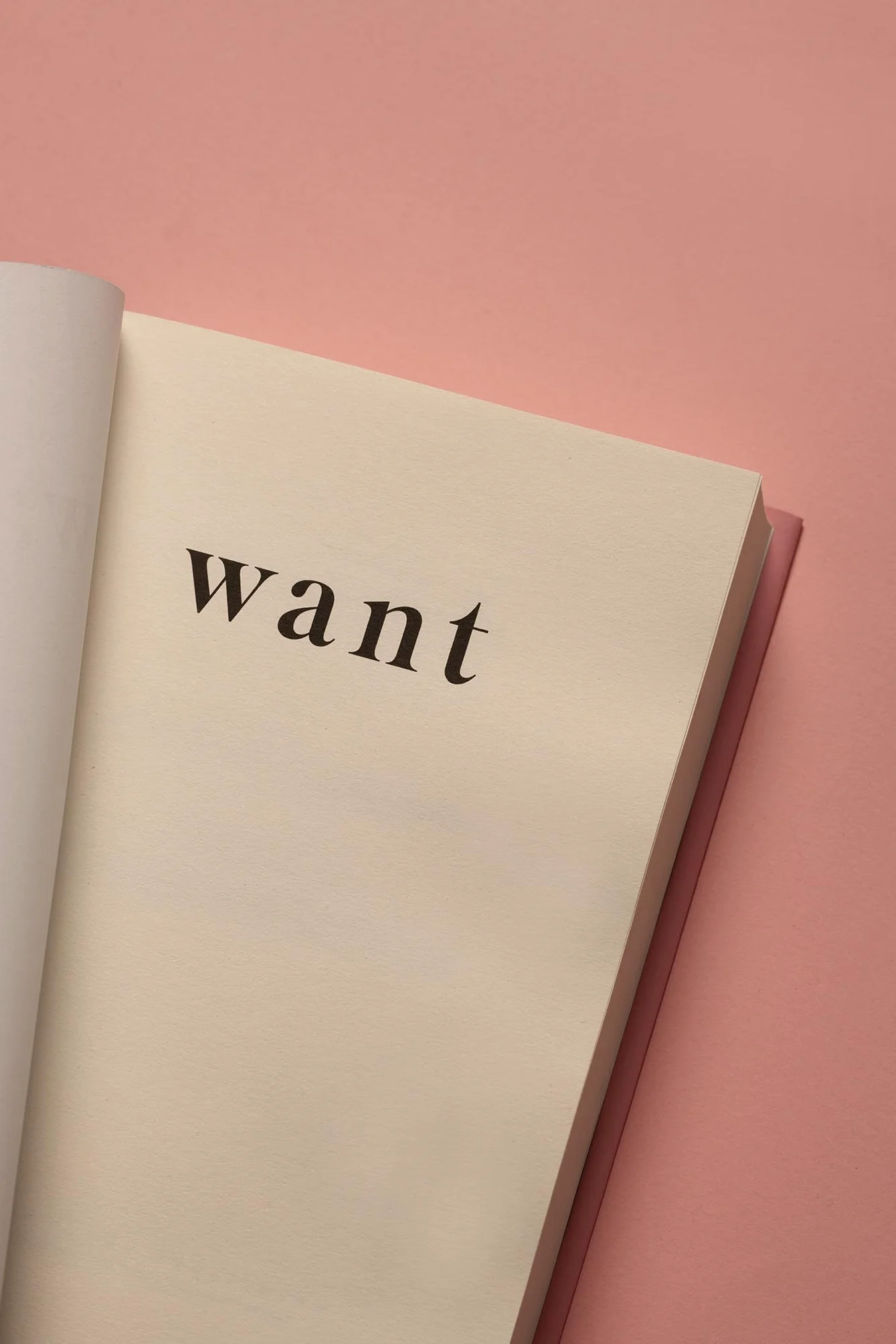 Want: Sexual Fantasies by Anonymous