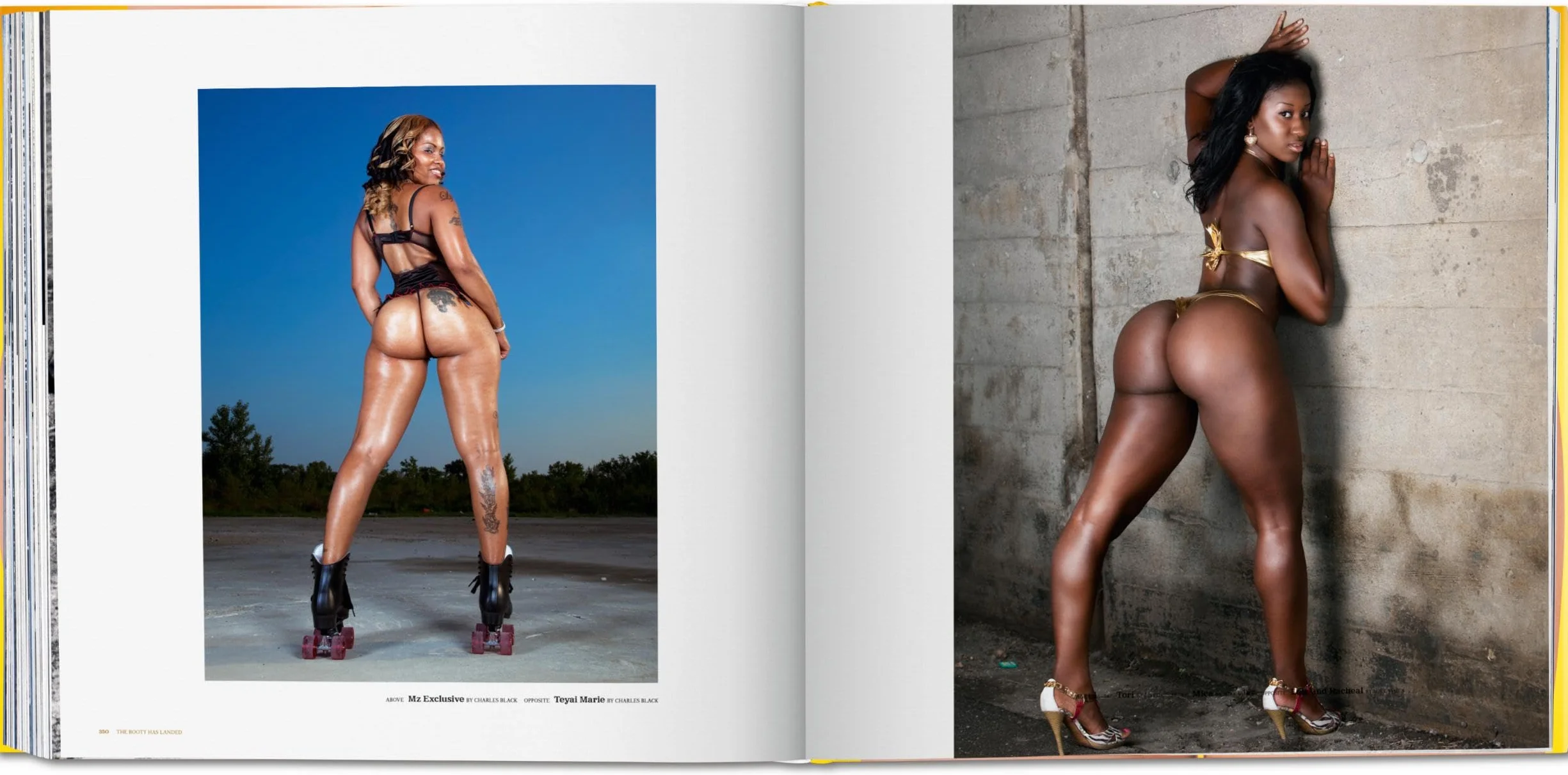 The Big Butt Book