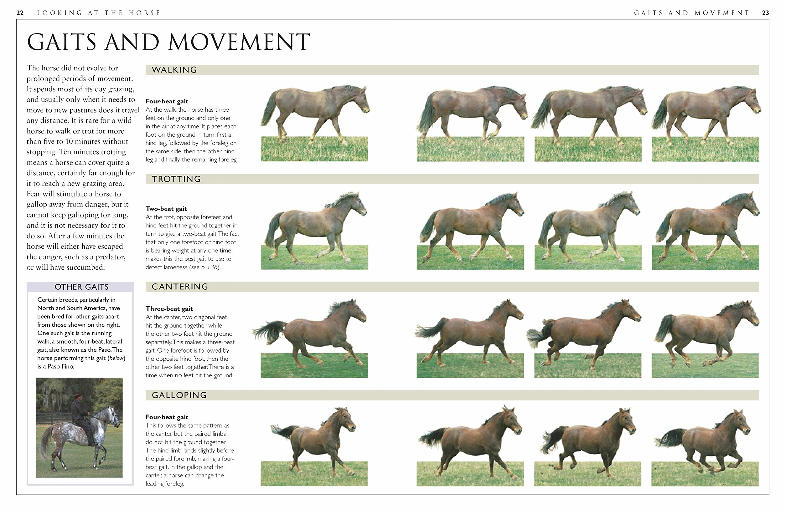 Complete Horse Care Manual