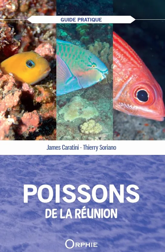 Poissons de l'île de La Réunion