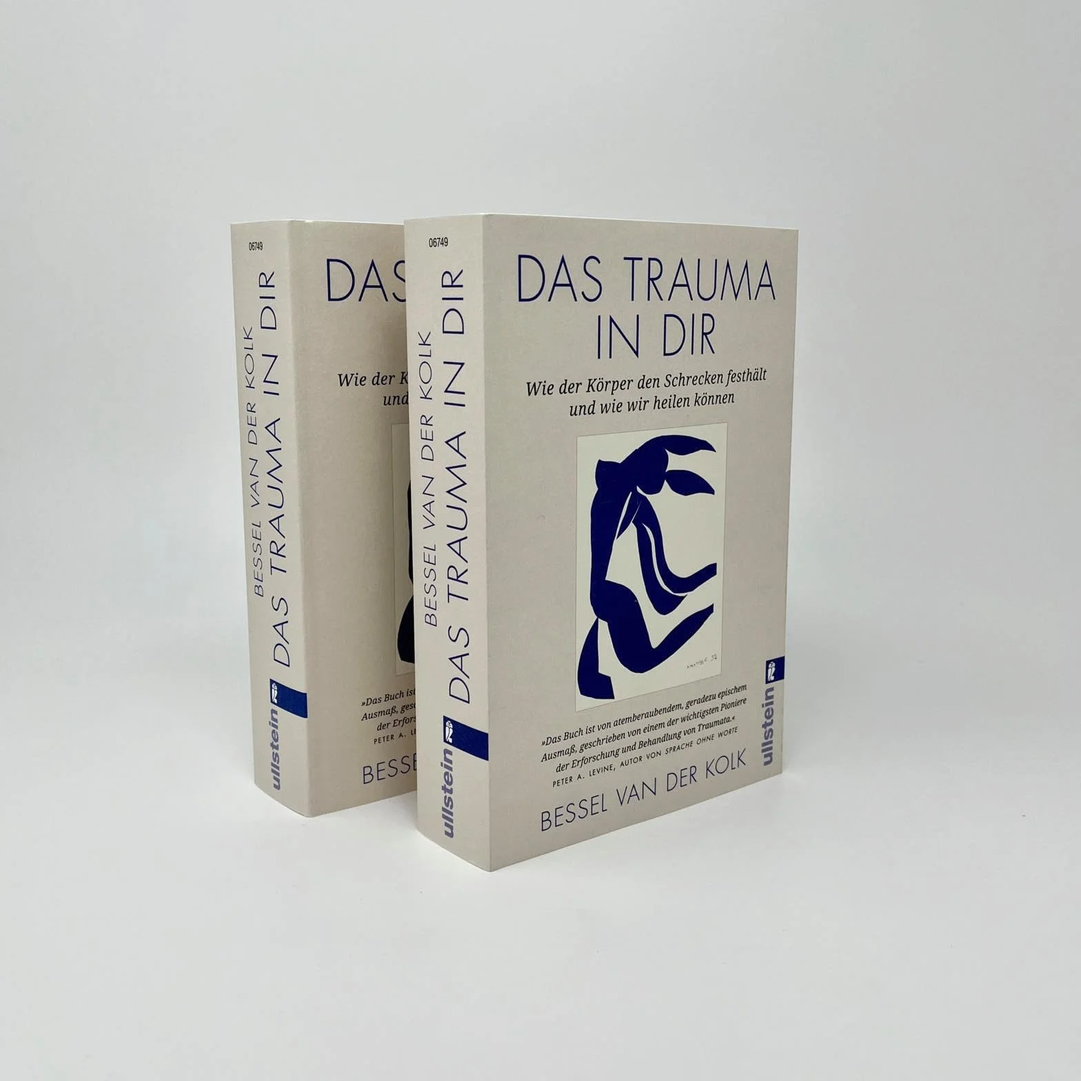 Das Trauma in dir: Wie der Körper den Schrecken festhält und wie wir heilen können | Verkörperter Schrecken Taschenbuch