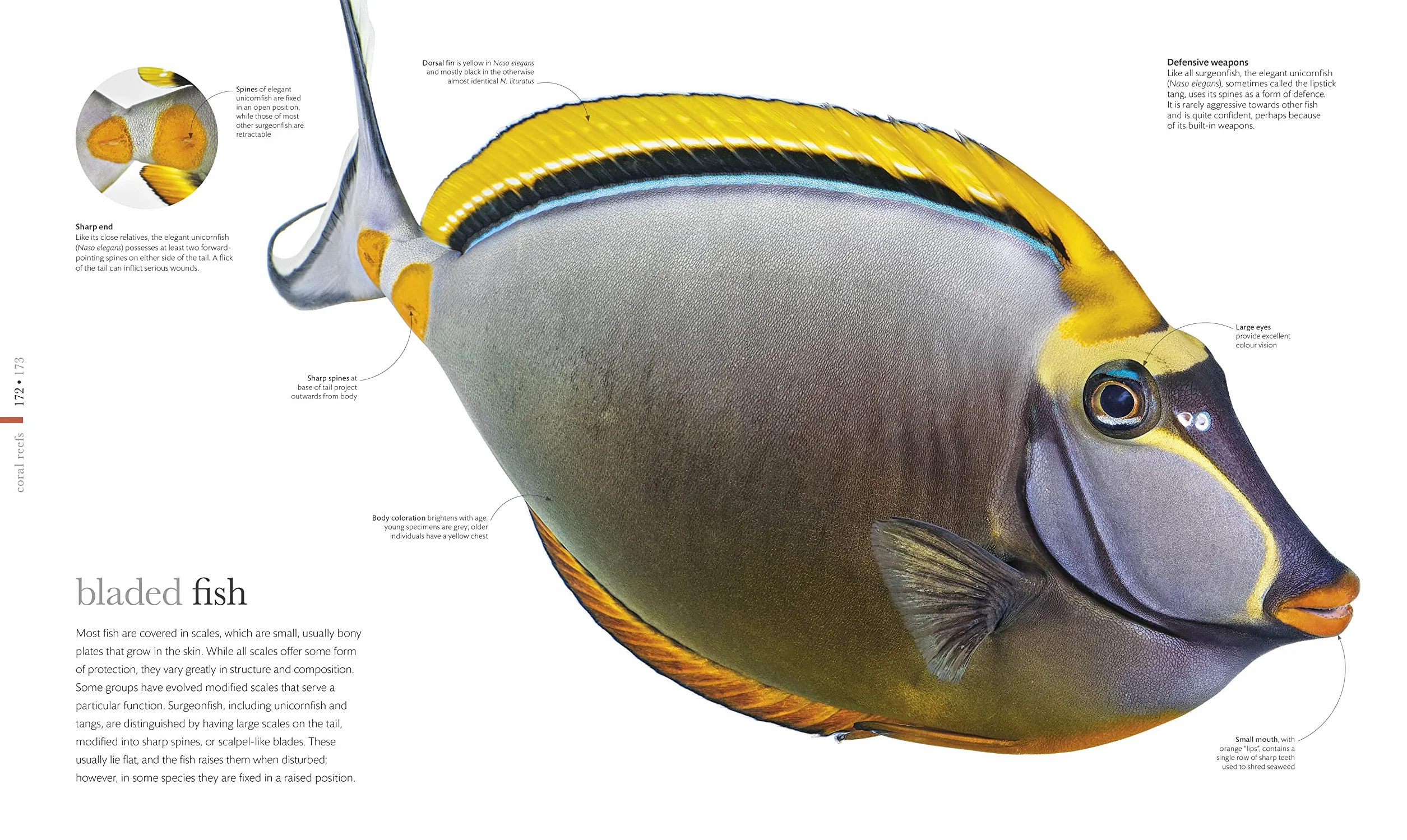 The Science of the Ocean: Secrets of the Seas