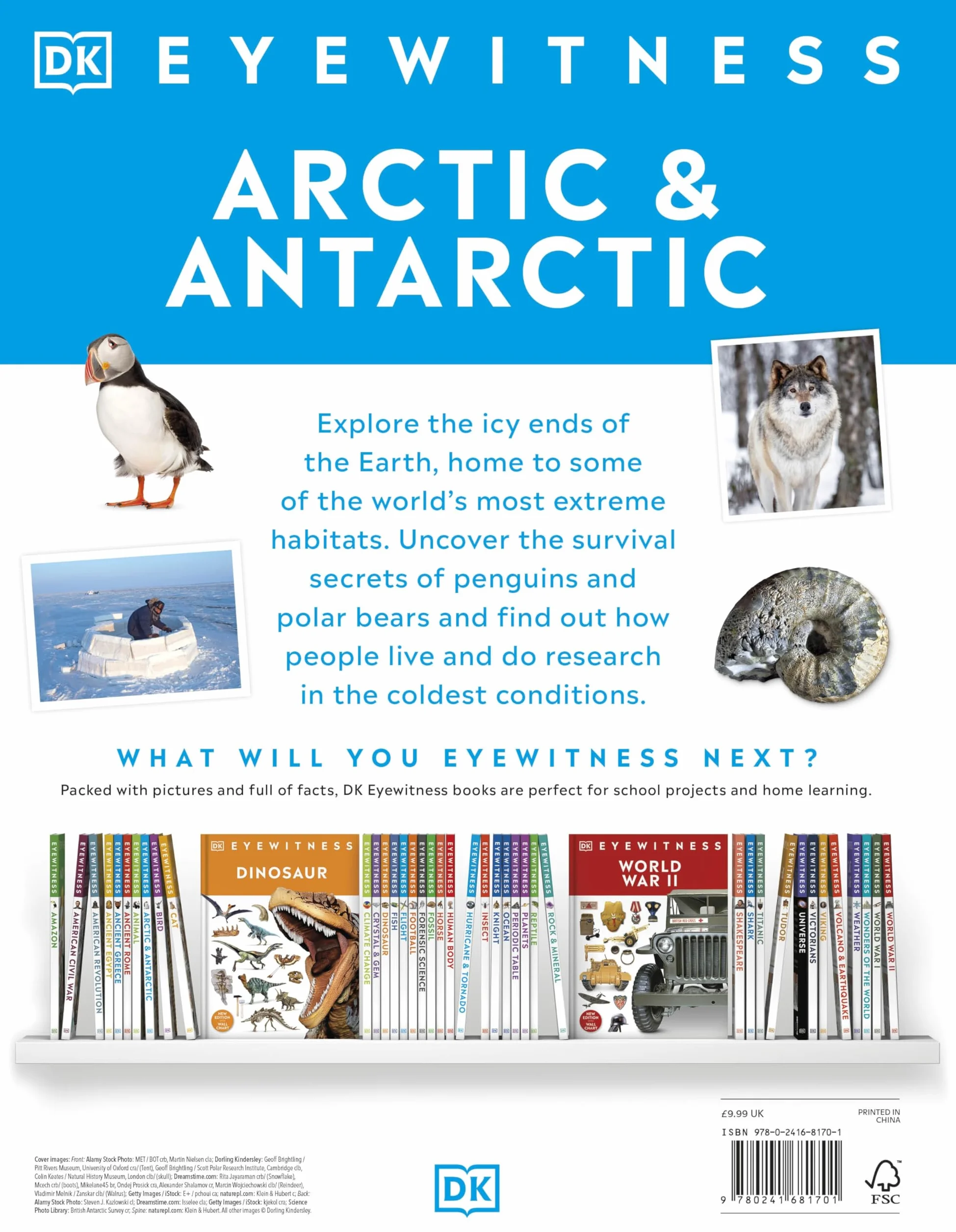 Arctic and Antarctic: DK Eyewitness