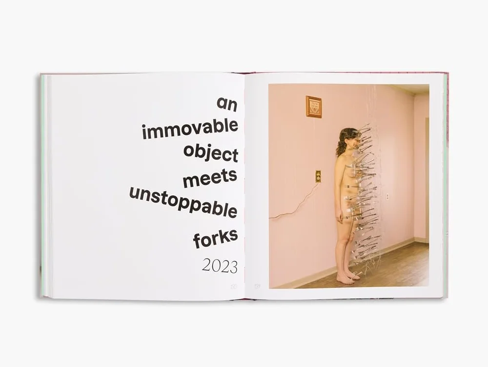 Brooke DiDonato: Take a Picture, It Will Last Longer /anglais