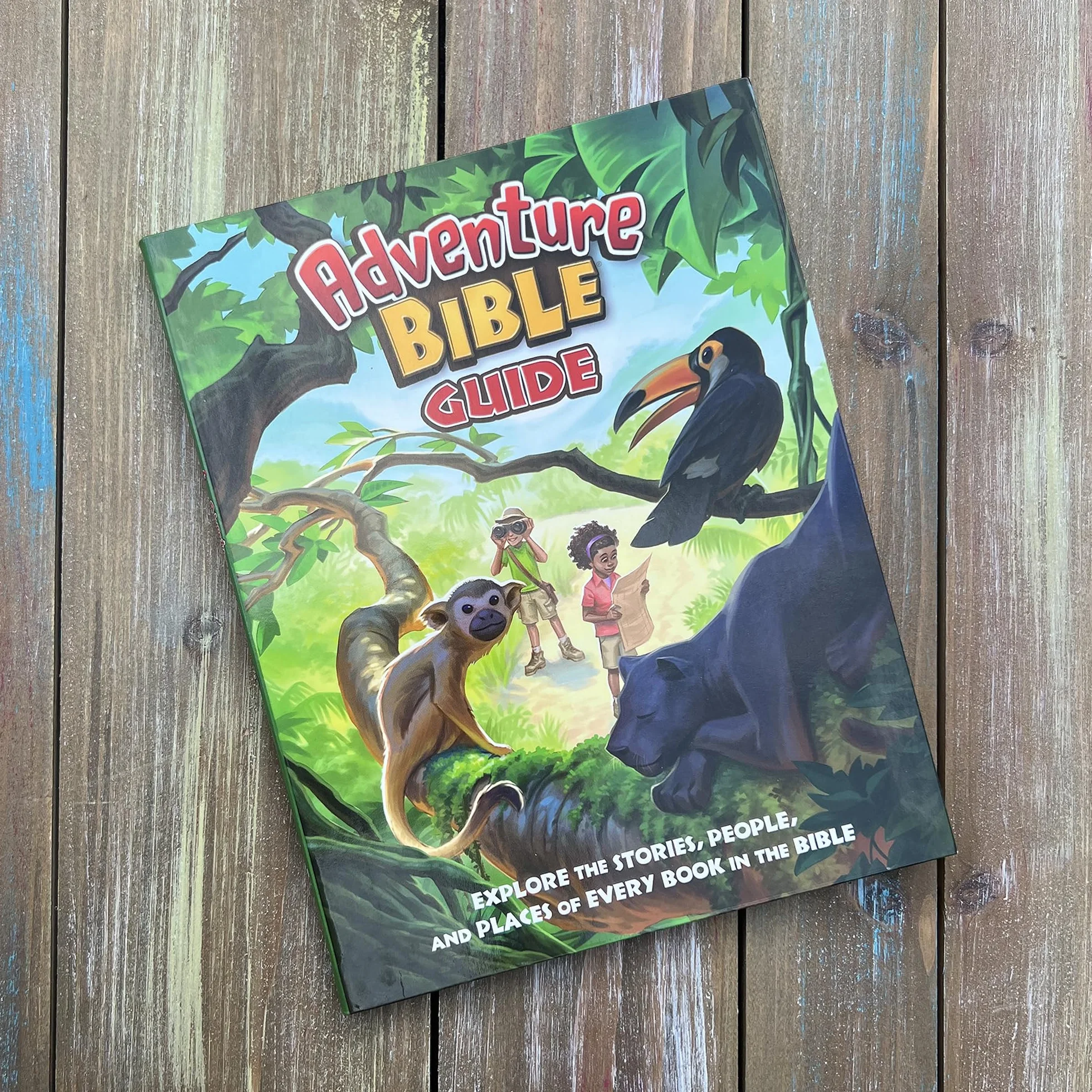 Adventure Bible Guide: Explore the Stories, People, and Places of Every Book in the Bible: An Ideal Companion to the NIV Adventure Bible