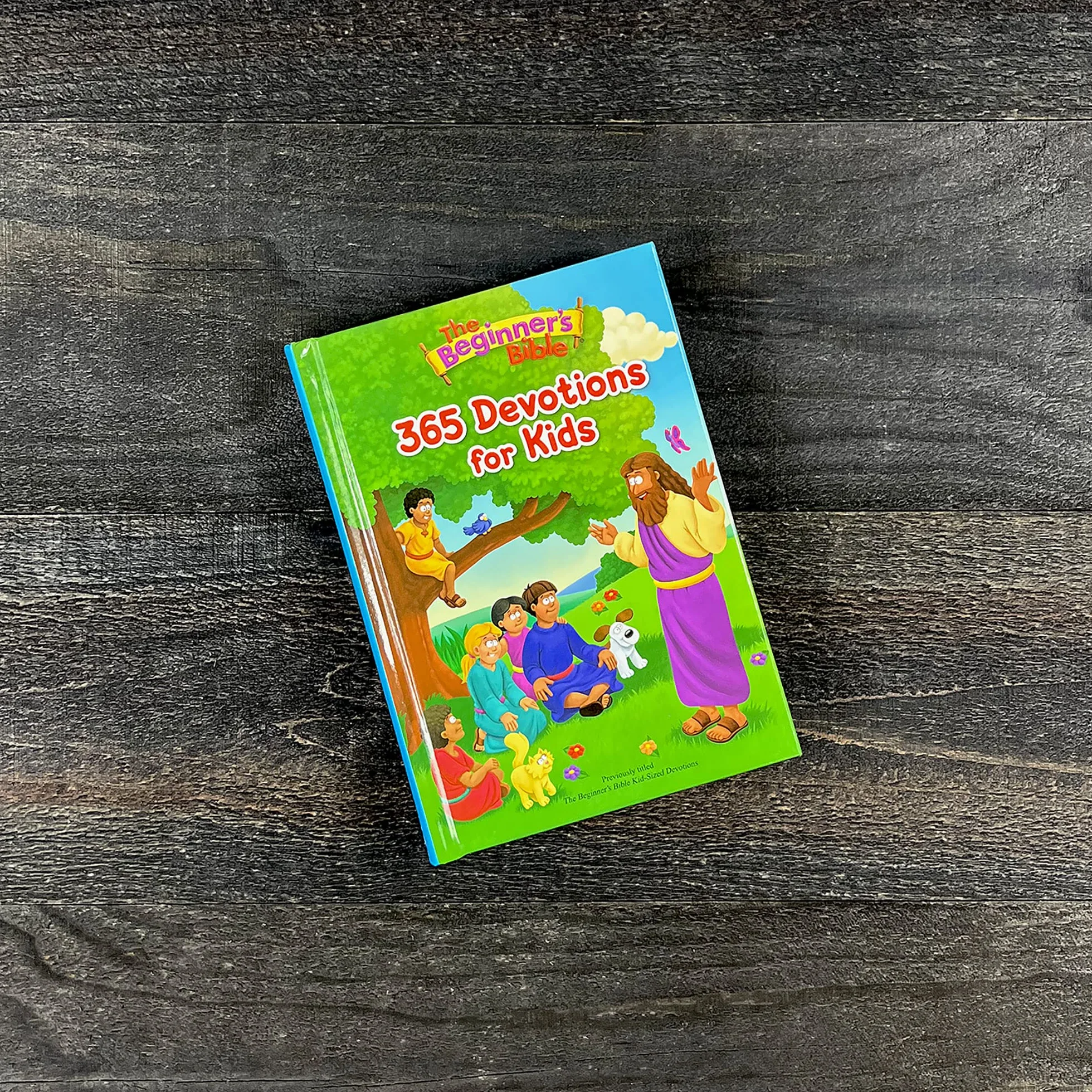 The Beginner's Bible 365 Devotions for Kids