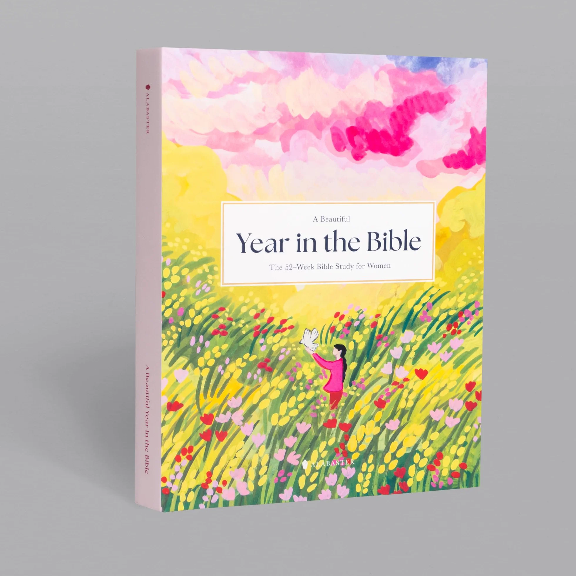 The 52-Week Bible Study for Women: A Beautiful Year in the Bible