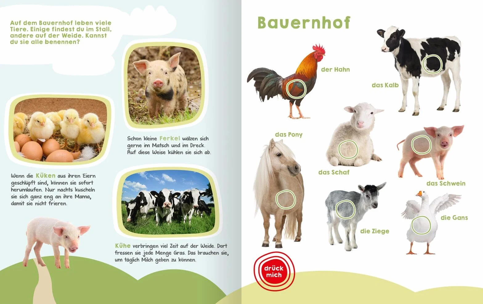 Mein großes Buch der Tiergeräusche: 50 Sounds