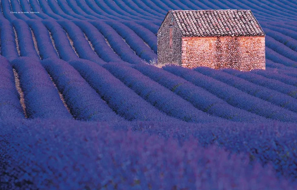 Provence