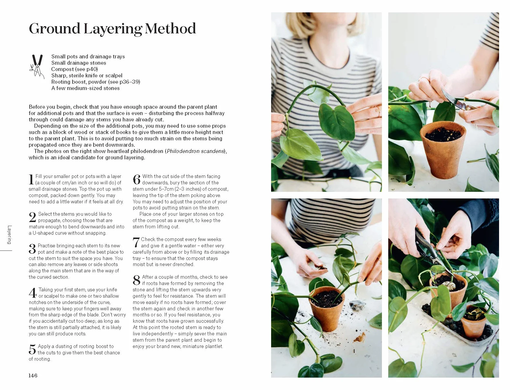 Root, Nurture, Grow: The Essential Guide to Propagating and Sharing Houseplants