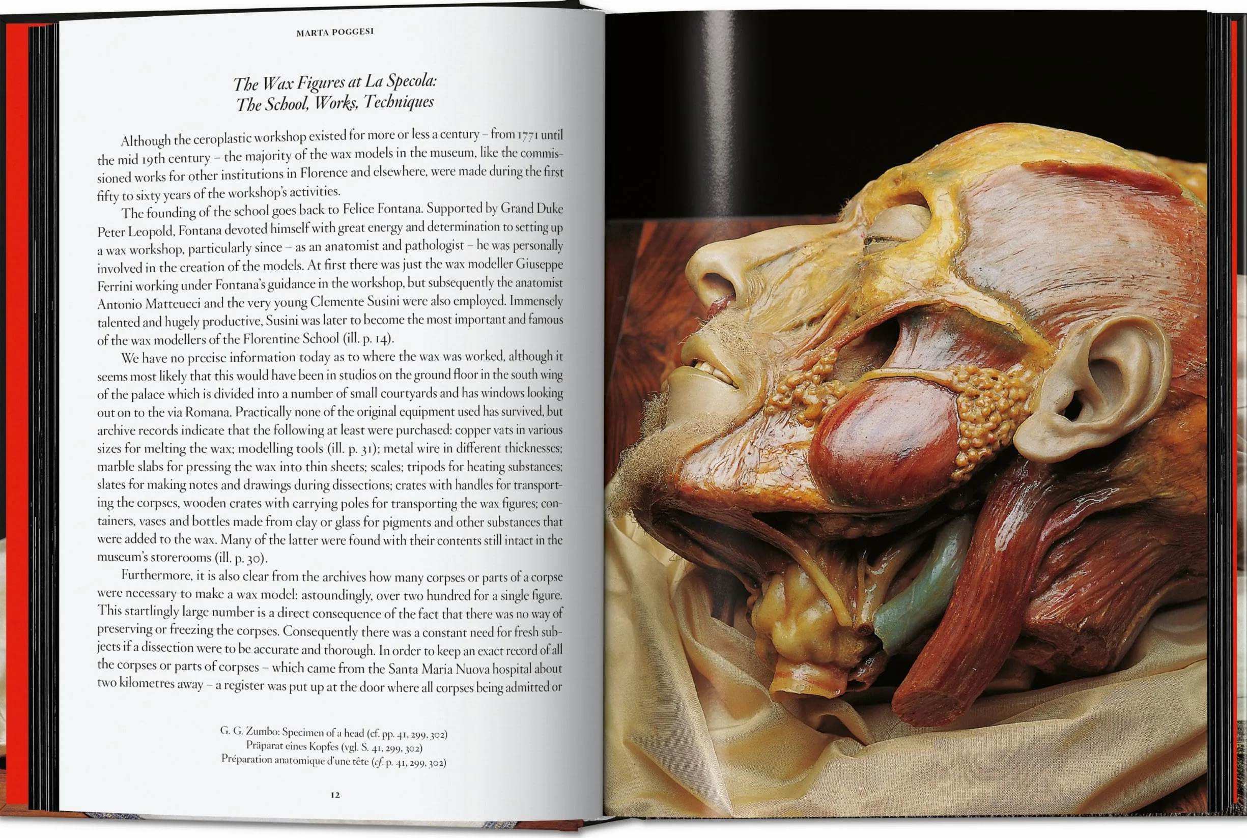 Anatomical Waxes. 45th Ed.